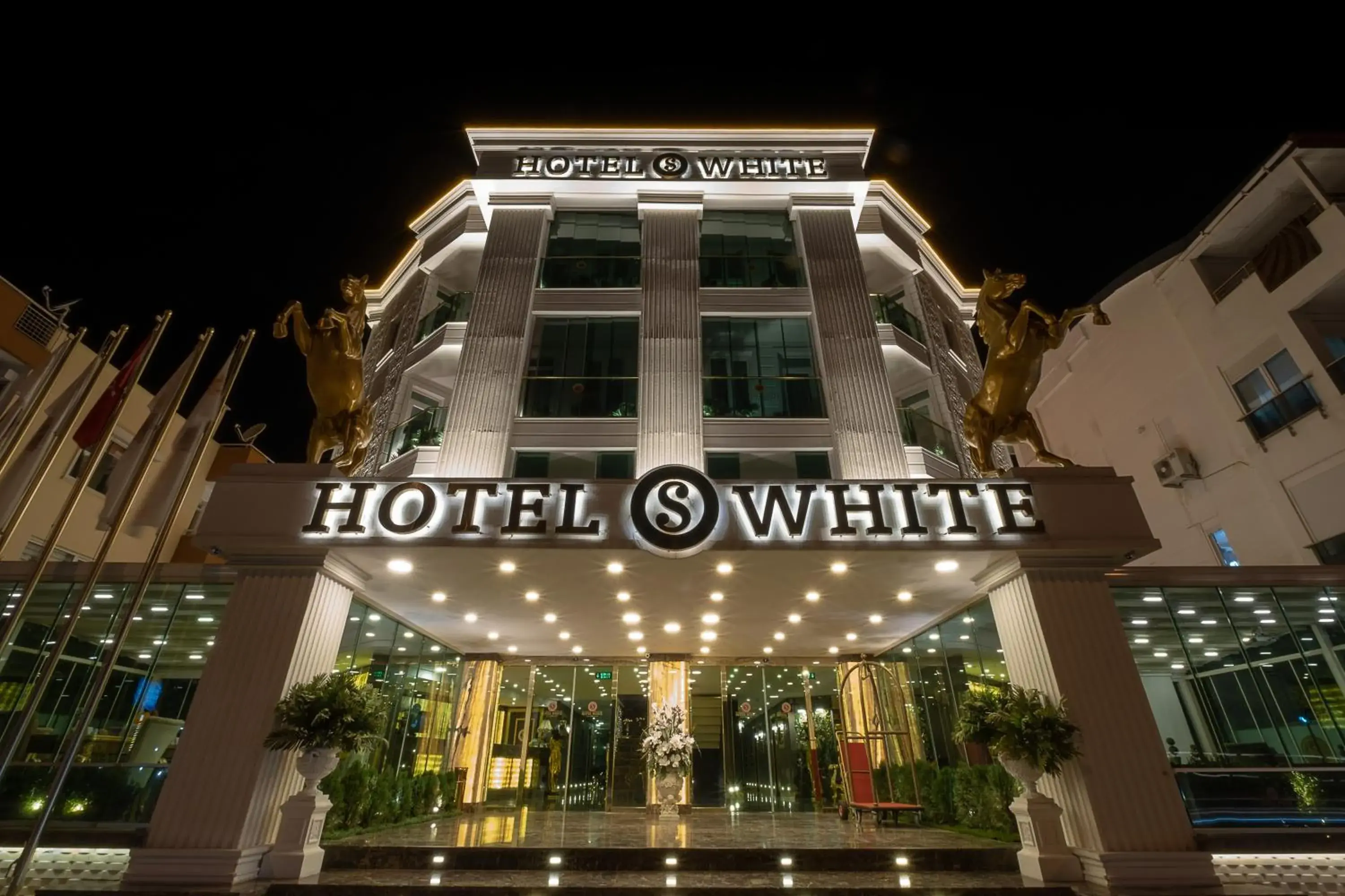 HOTEL S WHITE HOTEL S WHITE