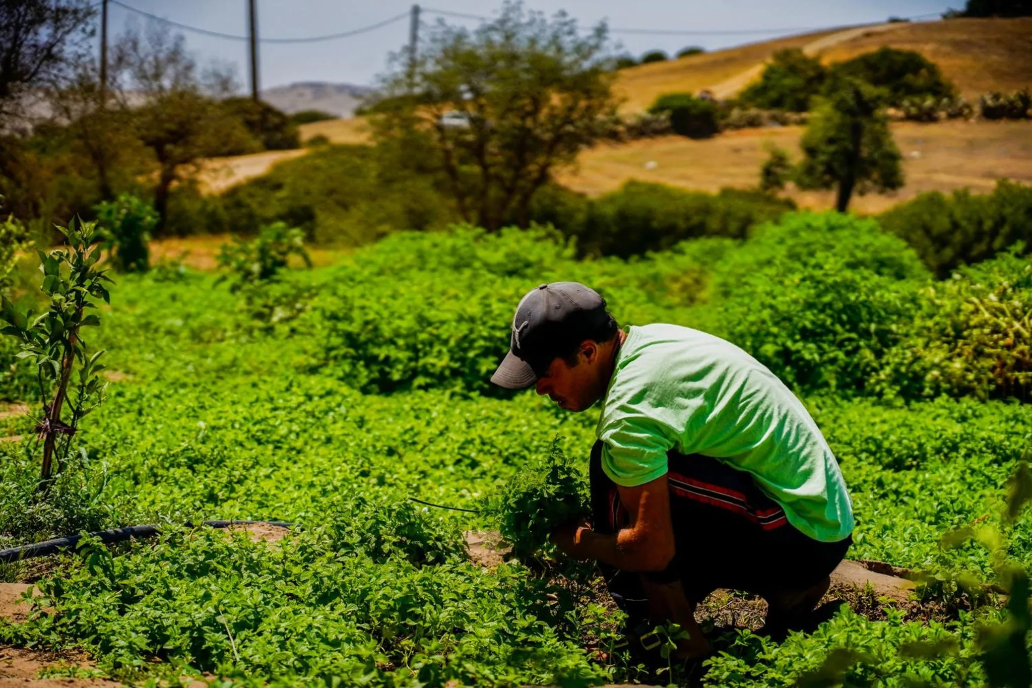 People in La Fiermontina Ocean