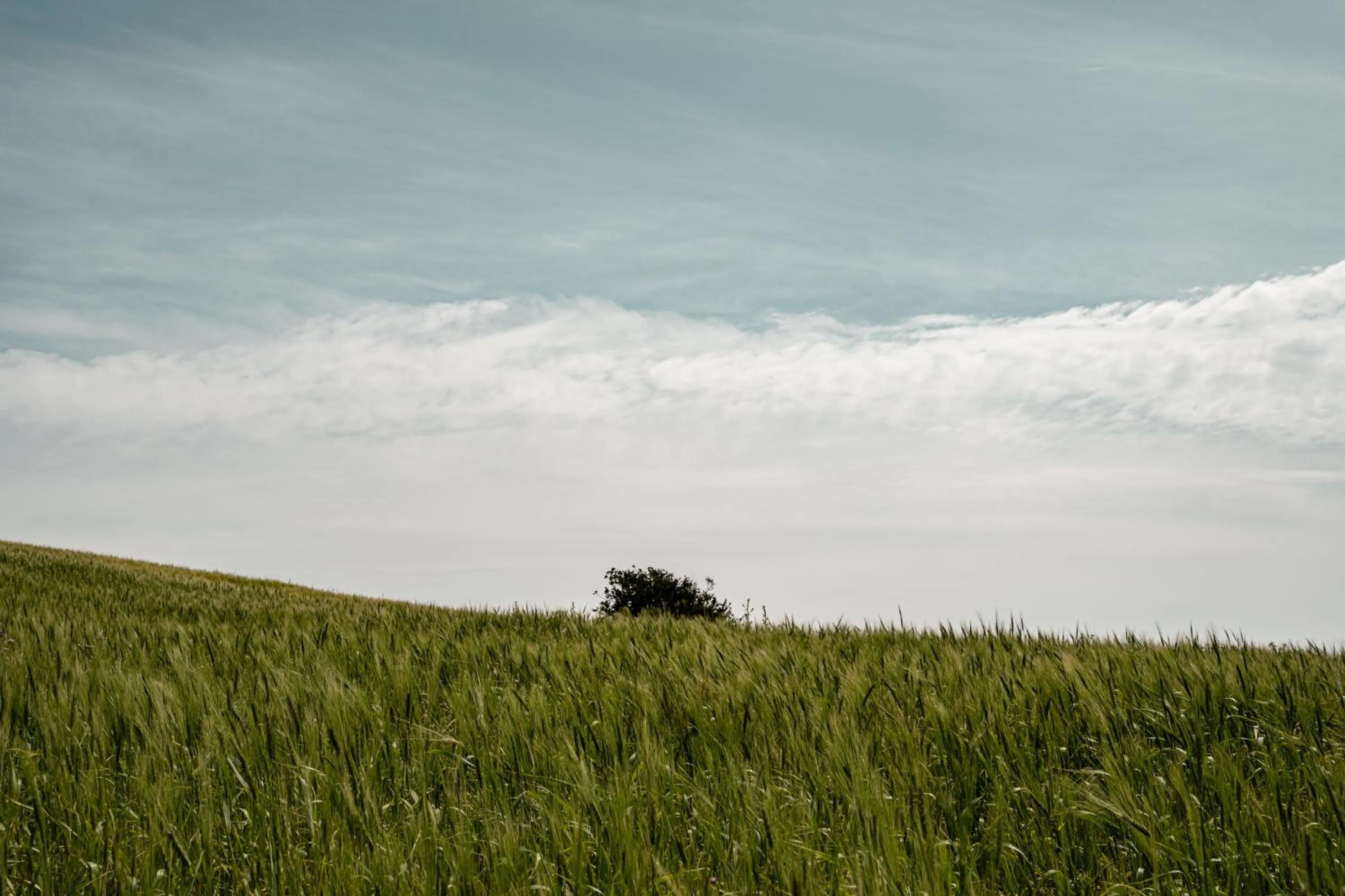 Natural landscape in La Fiermontina Ocean