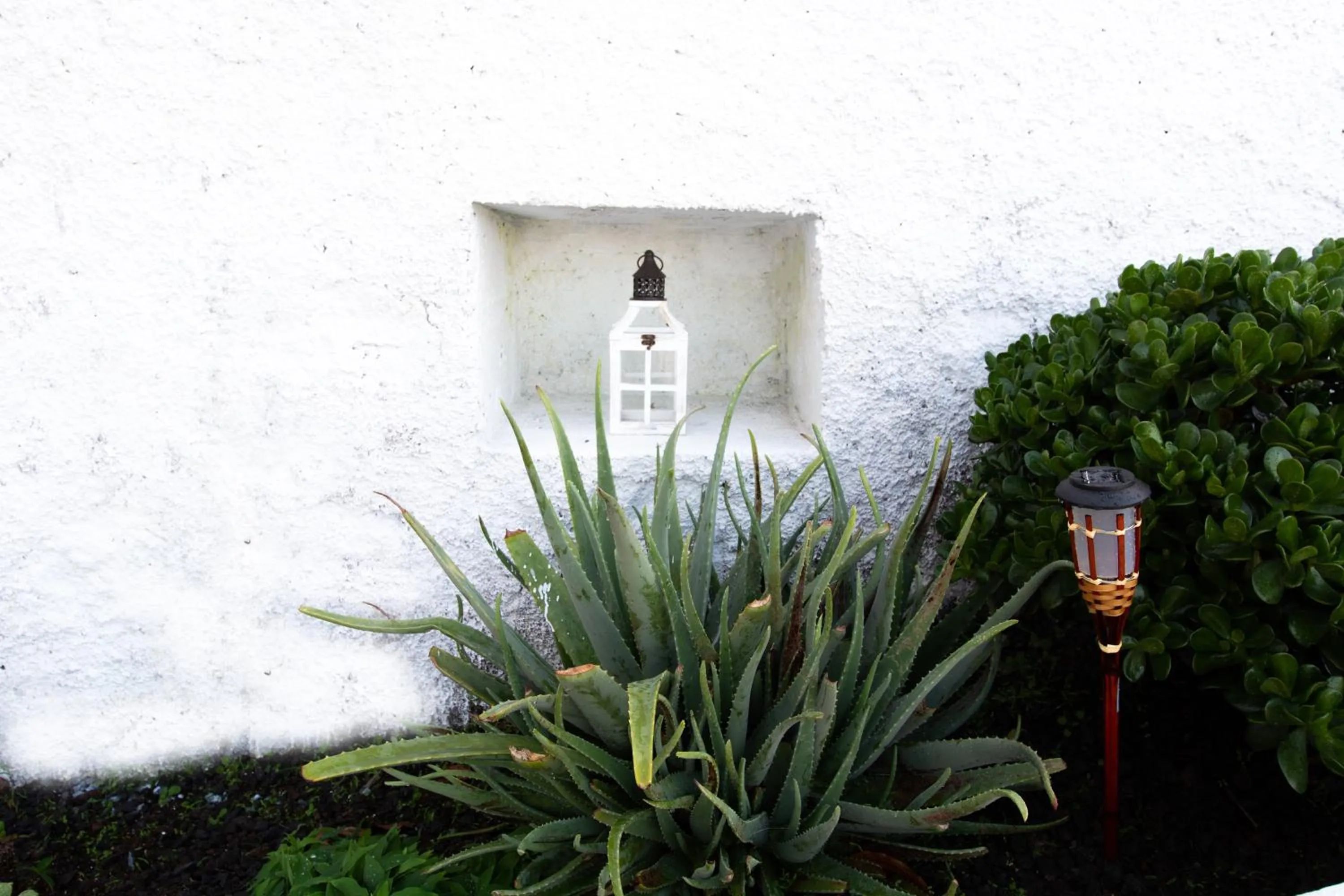 Garden in Geko Hotels