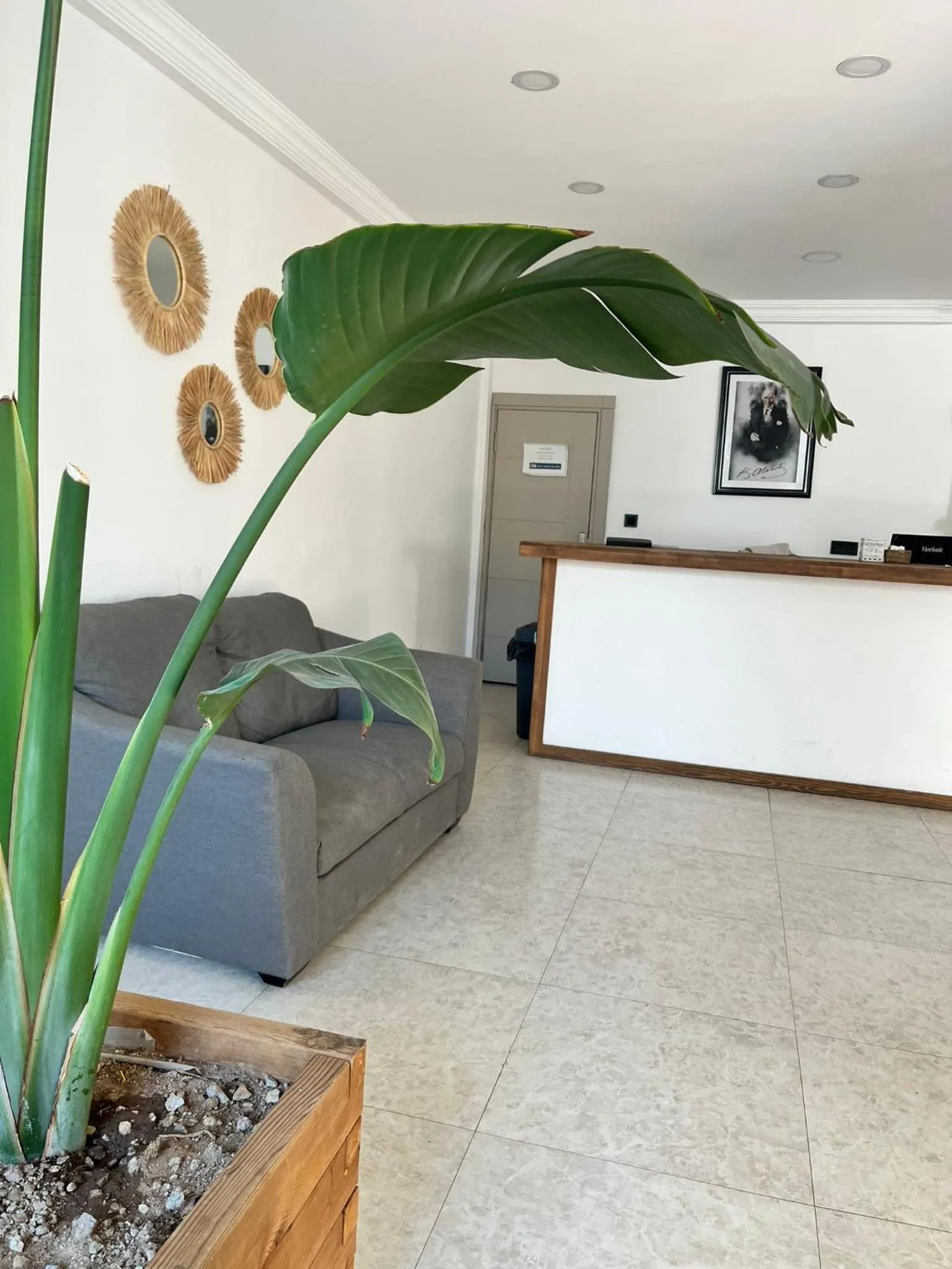 Lobby or reception, Bed in Costa Viva Bodrum