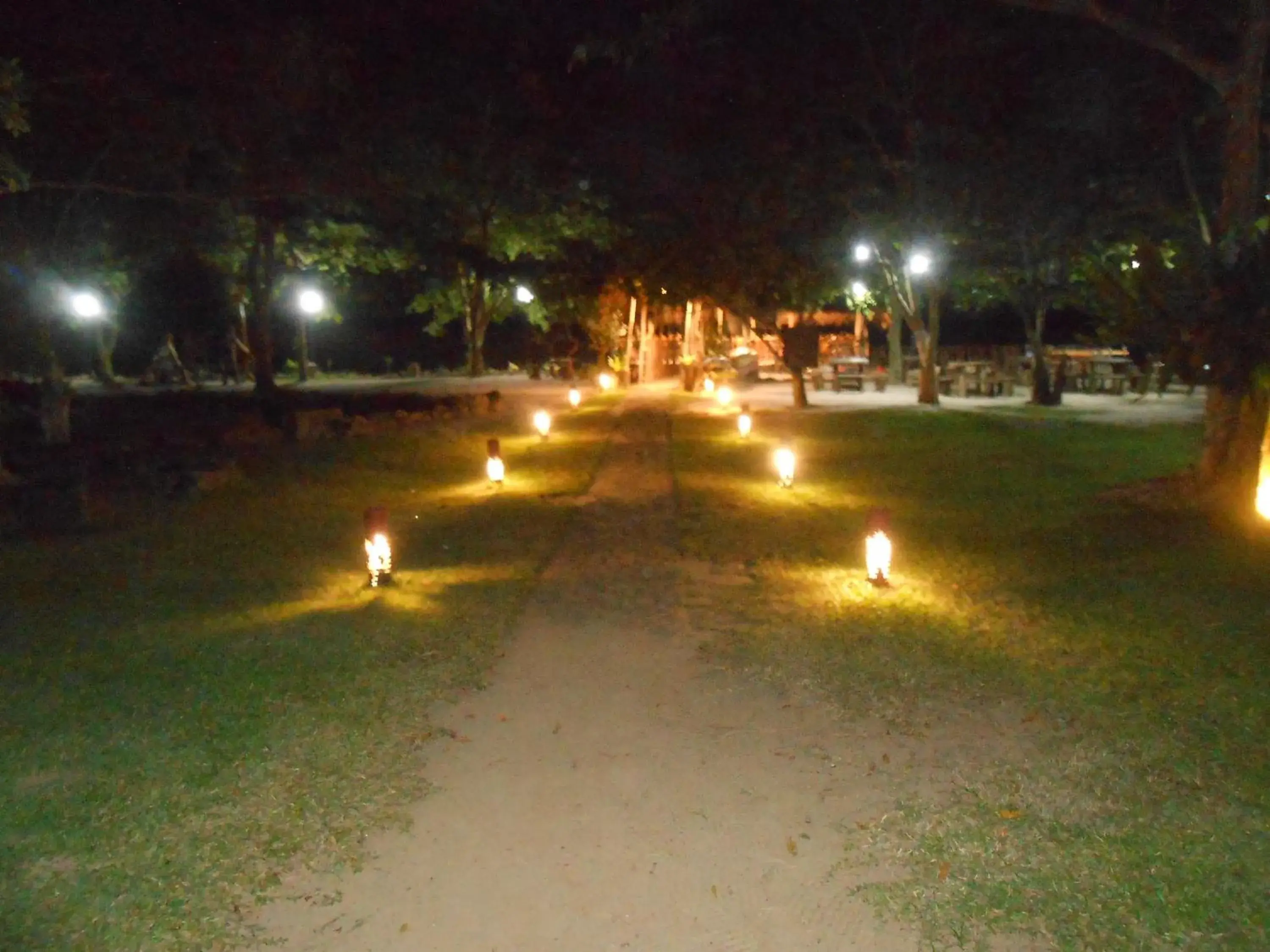 Garden view in Lake Resort Bolgoda Garden view in Lake Resort Bolgoda