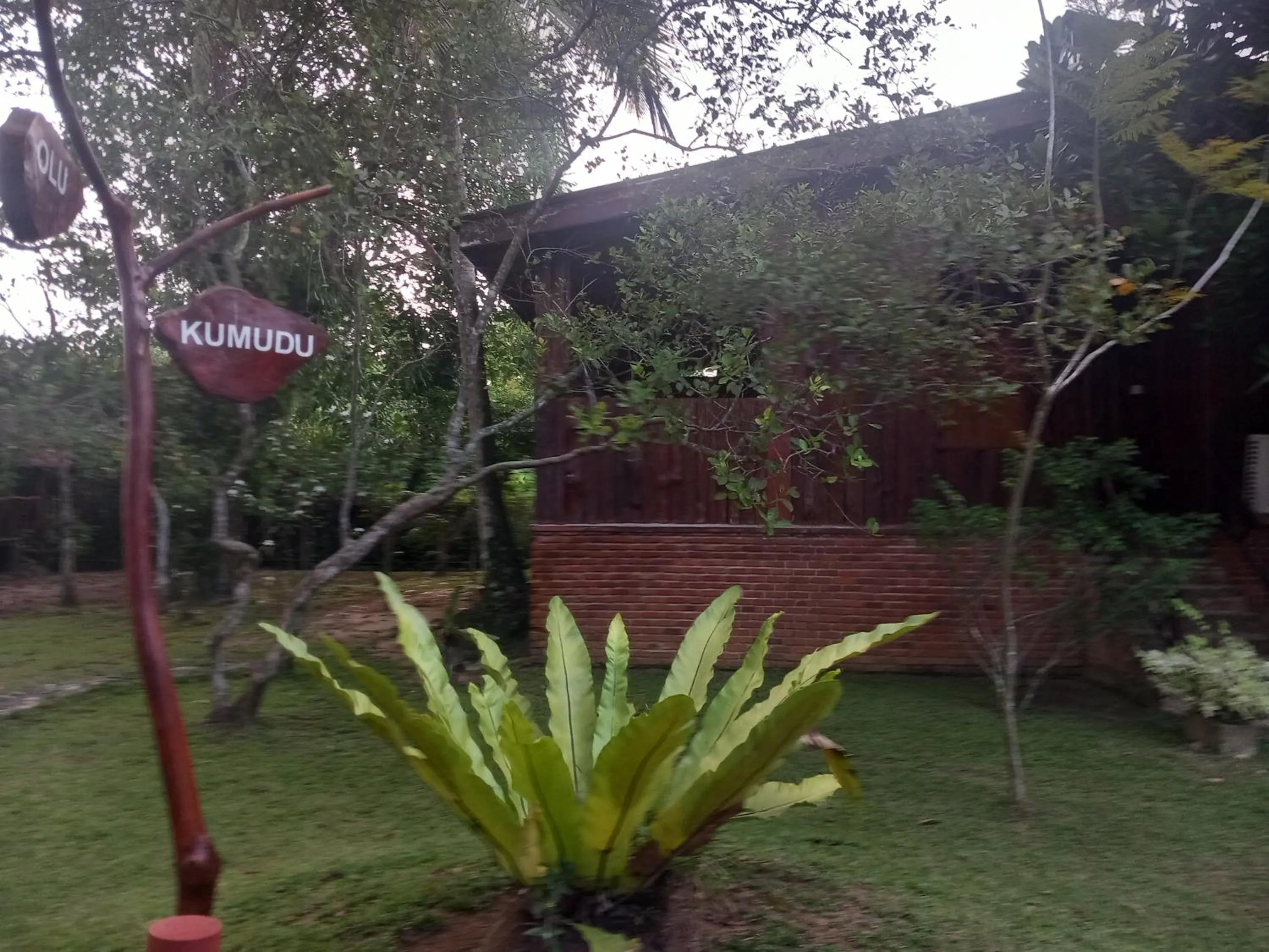 View (from property/room) in Lake Resort Bolgoda