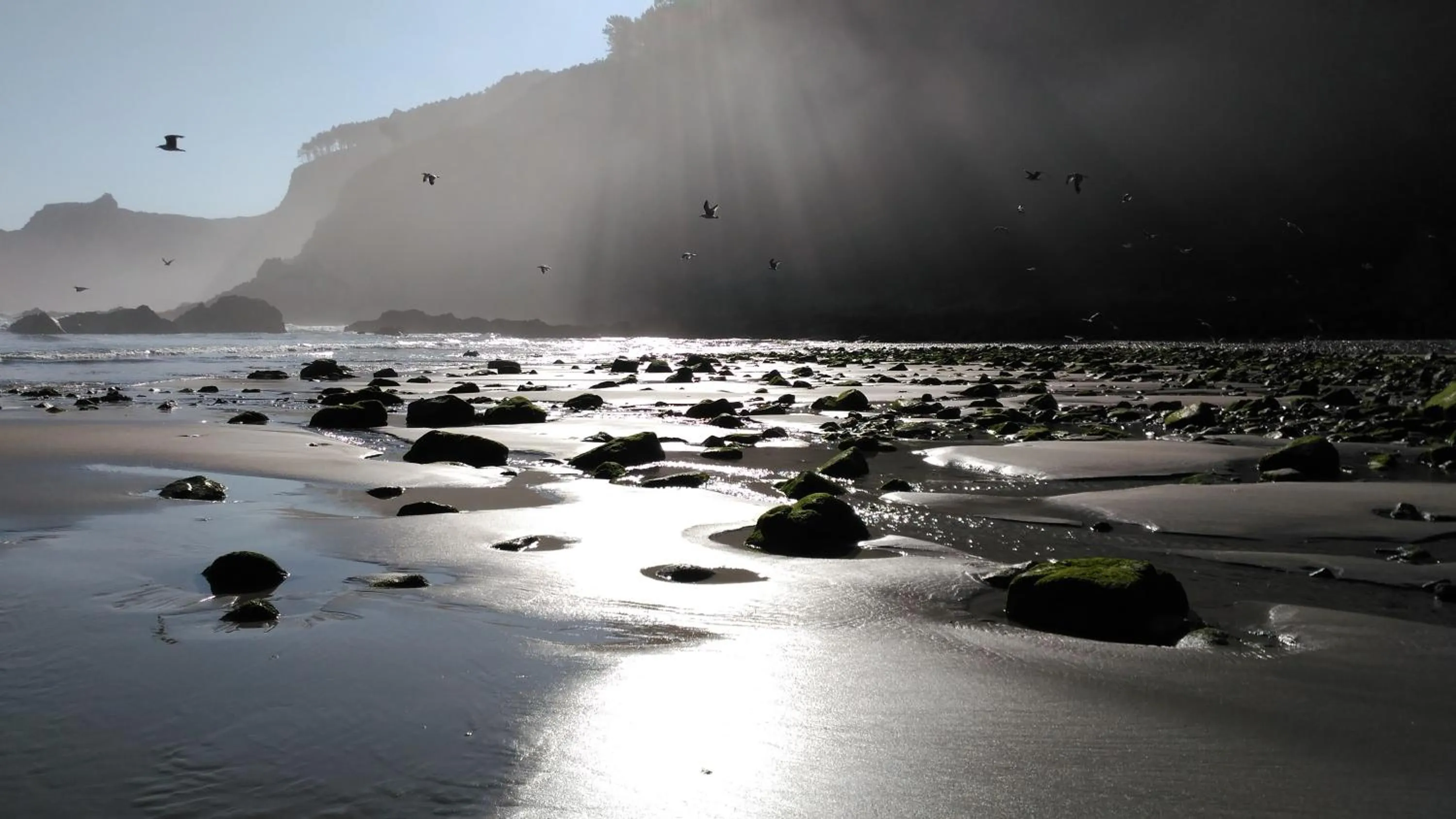 Natural landscape in Hotel Casa Vieja del Sastre