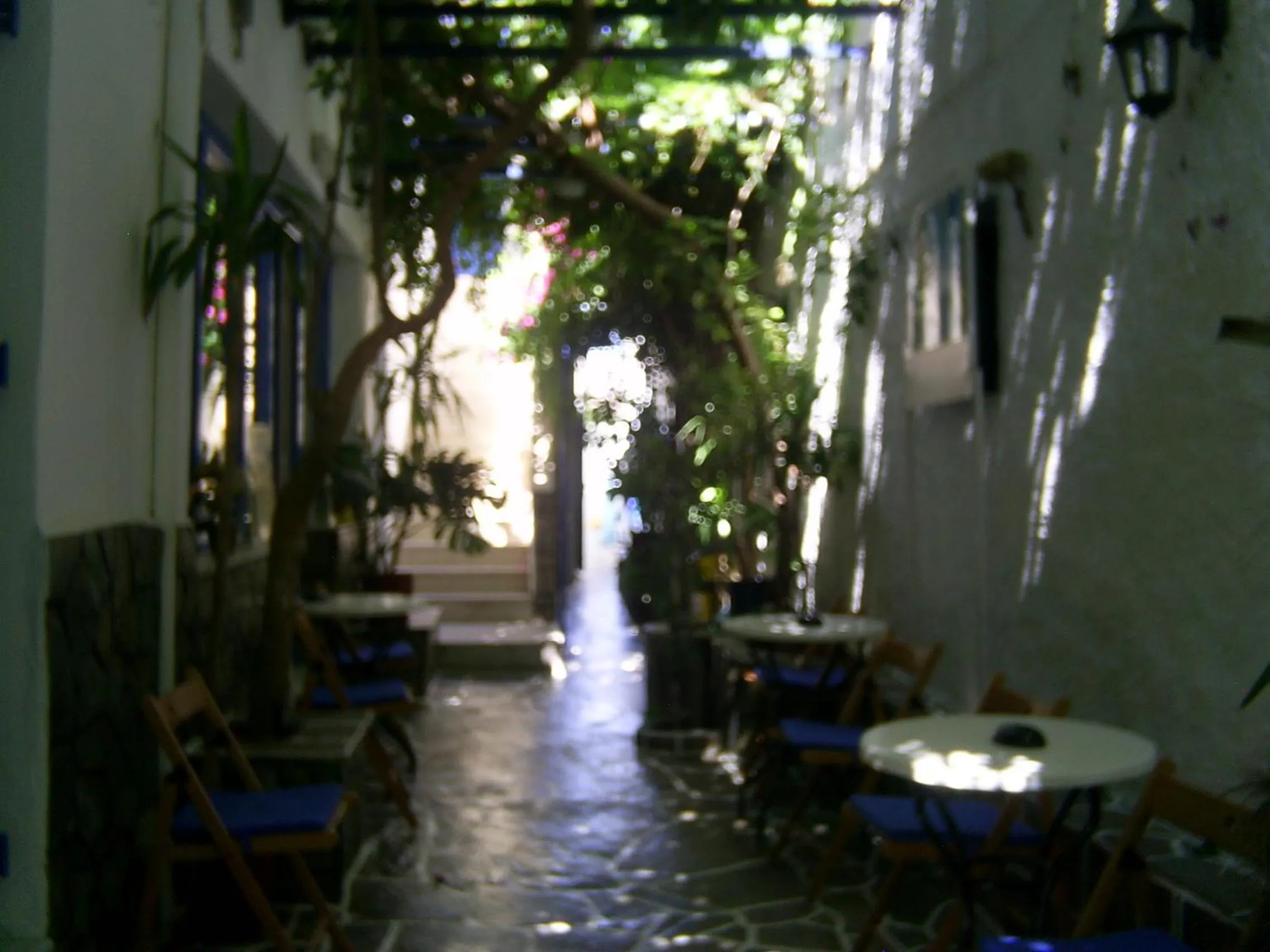 Garden in Galini Pension