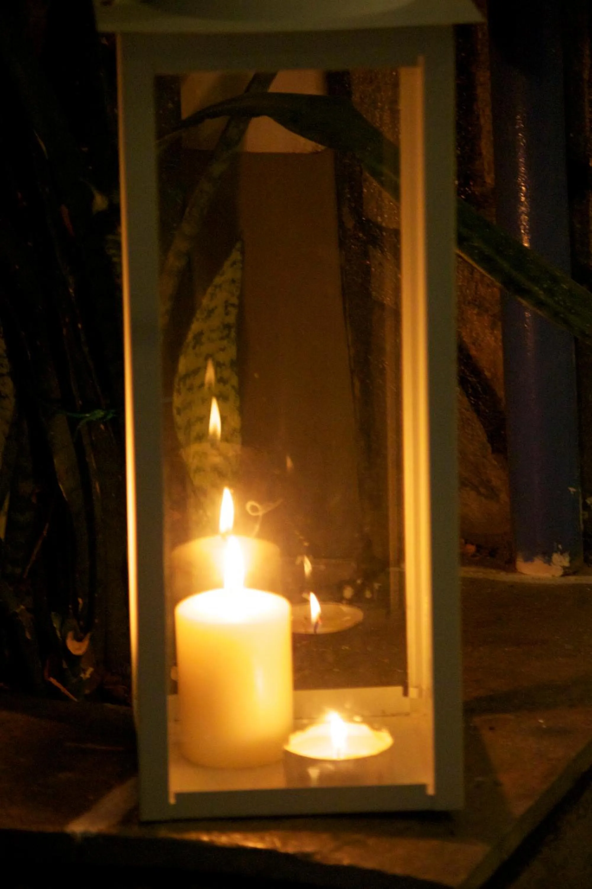 Garden in Galini Pension