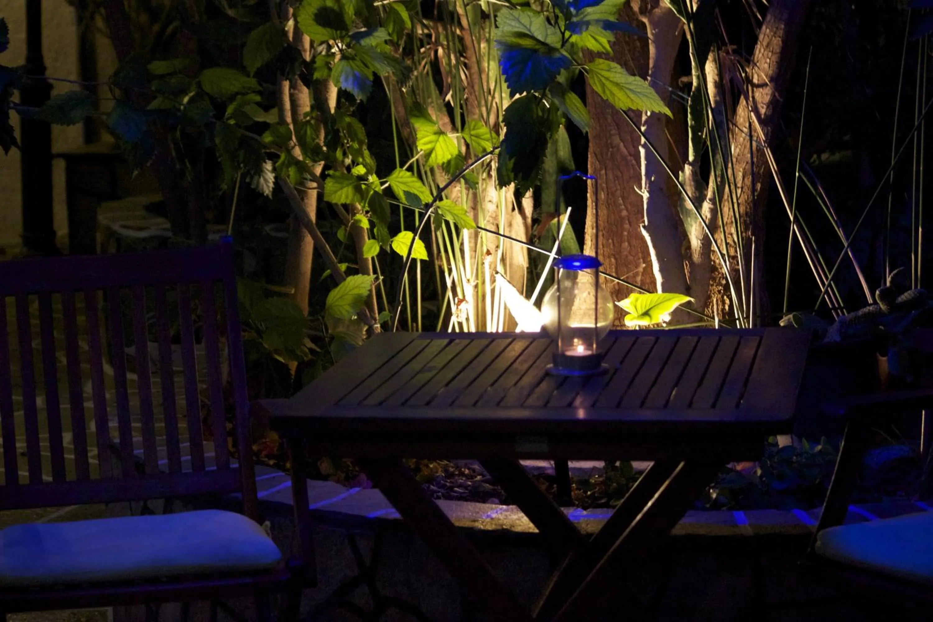 Garden in Galini Pension