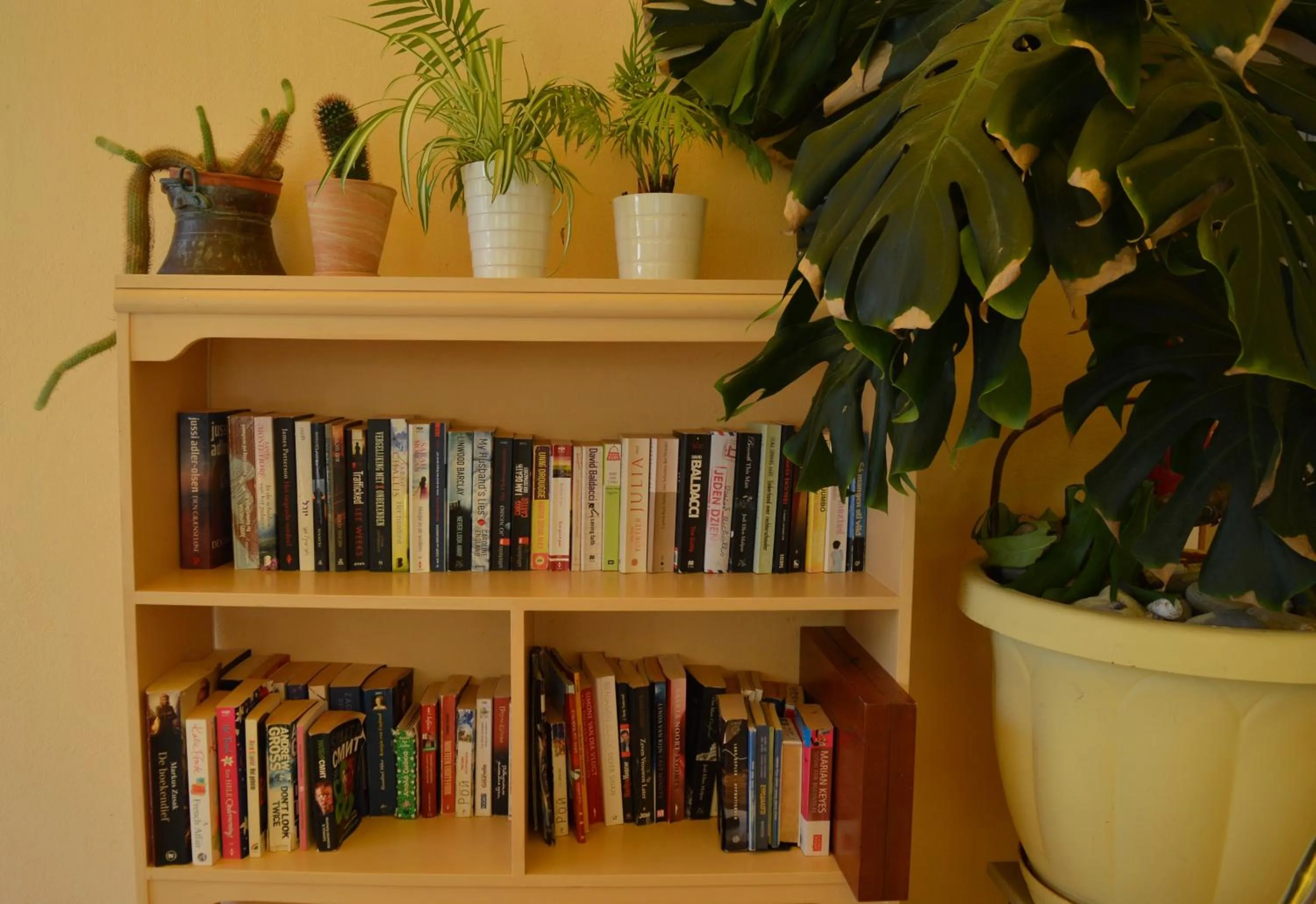 Library in Konstantina Apartments
