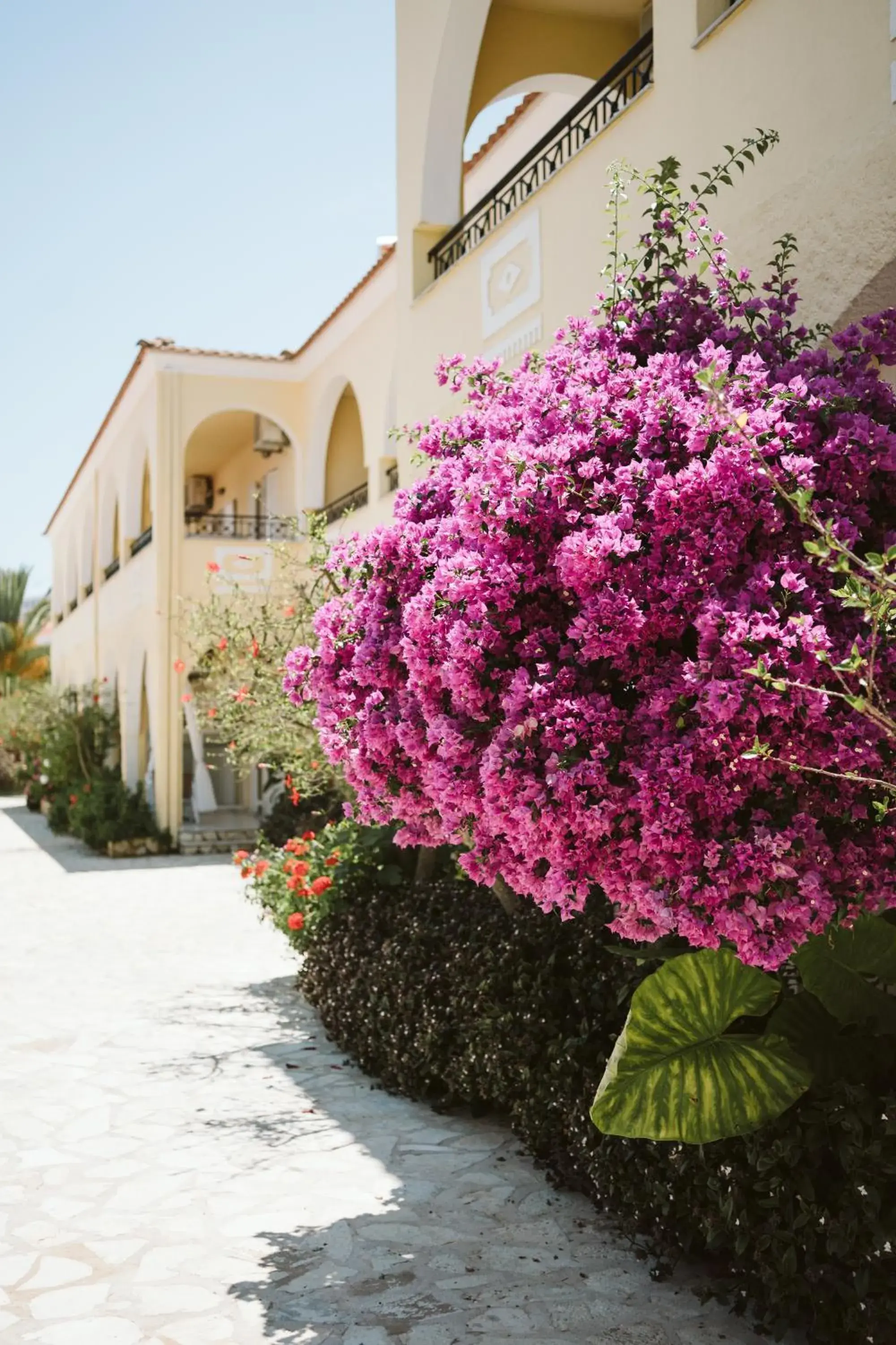 Property building in Konstantina Apartments Property building in Konstantina Apartments