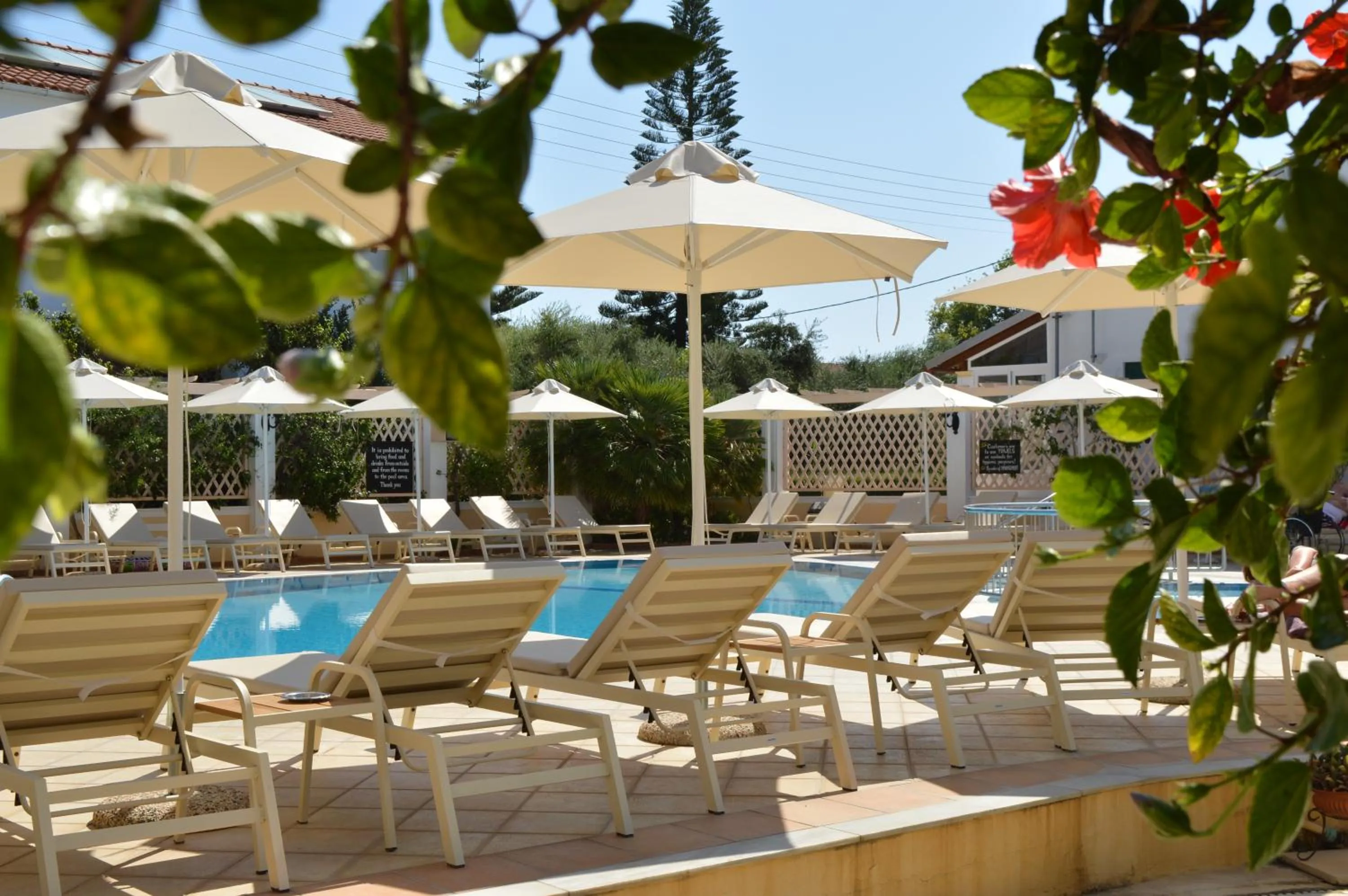 Swimming pool in Konstantina Apartments