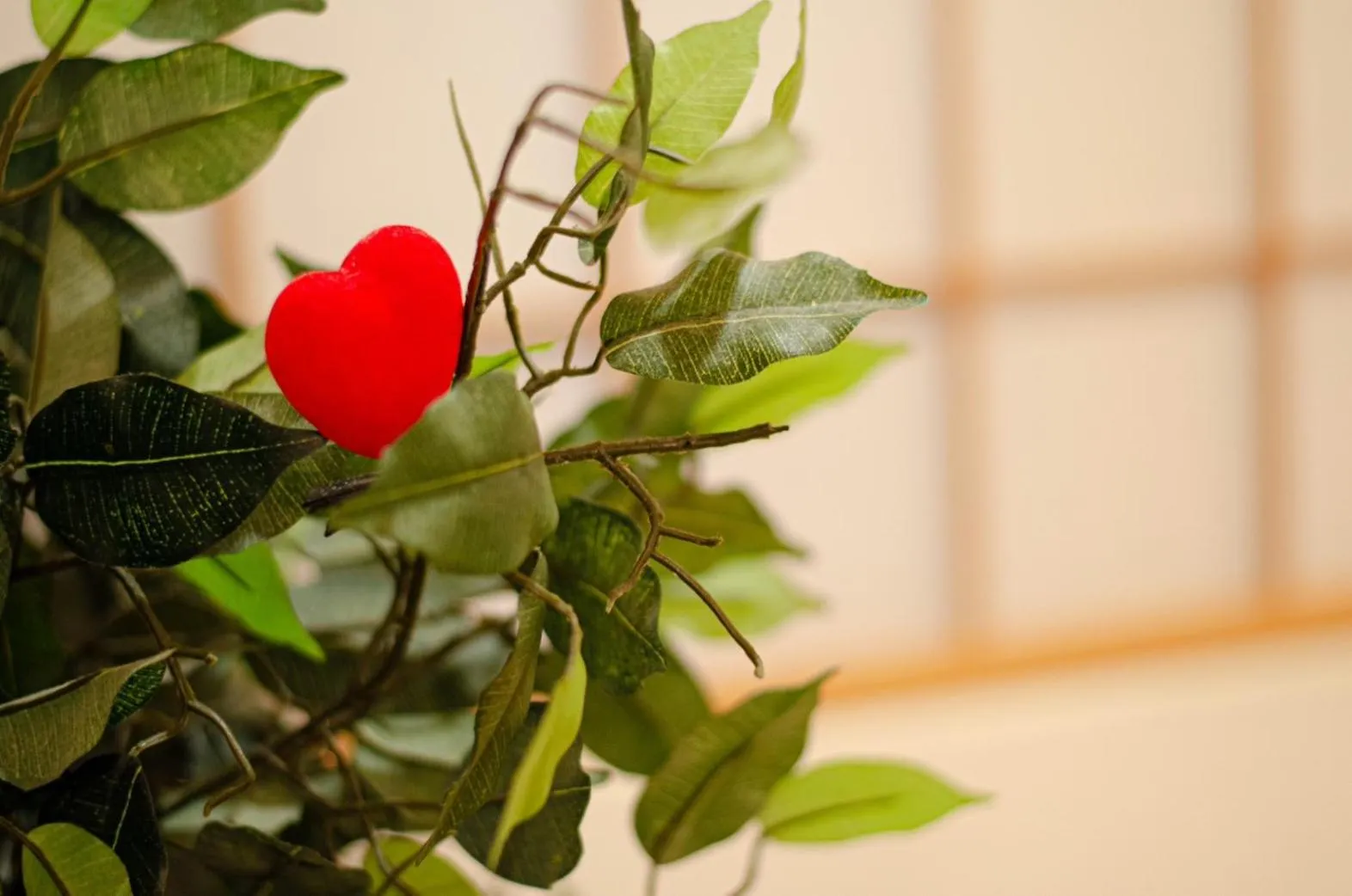 Day in Wafu Ryokan Uehonmachi