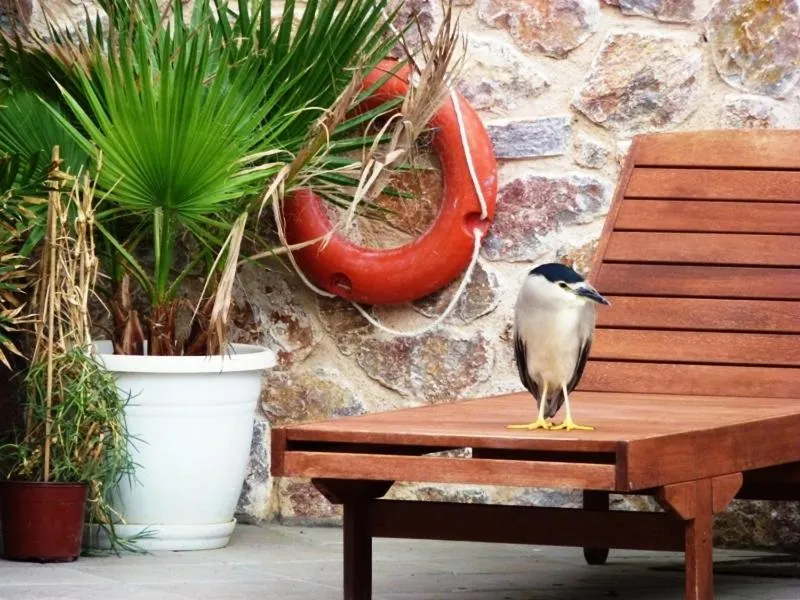 Decorative detail in Atalos Suites