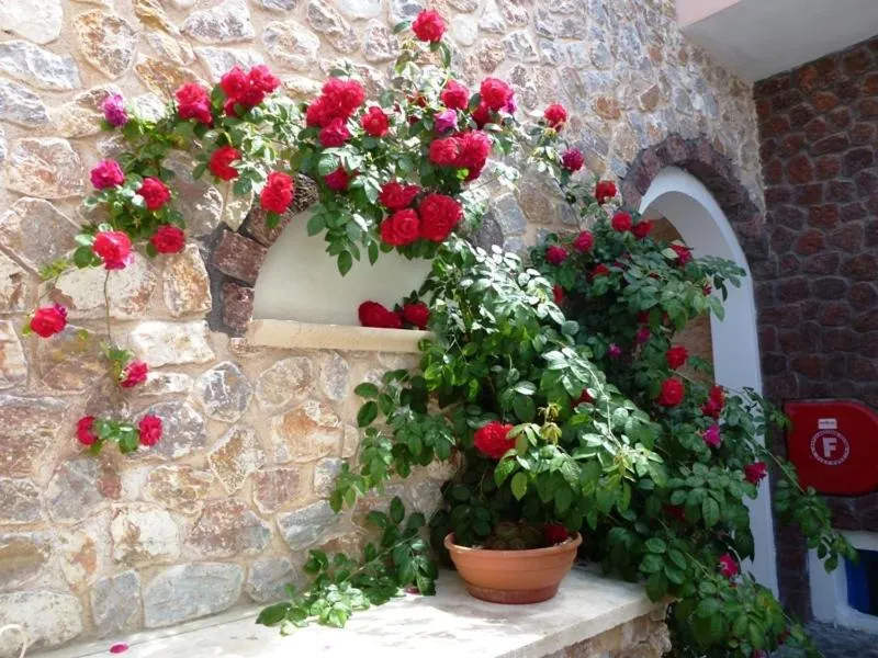 Facade/entrance in Atalos Suites