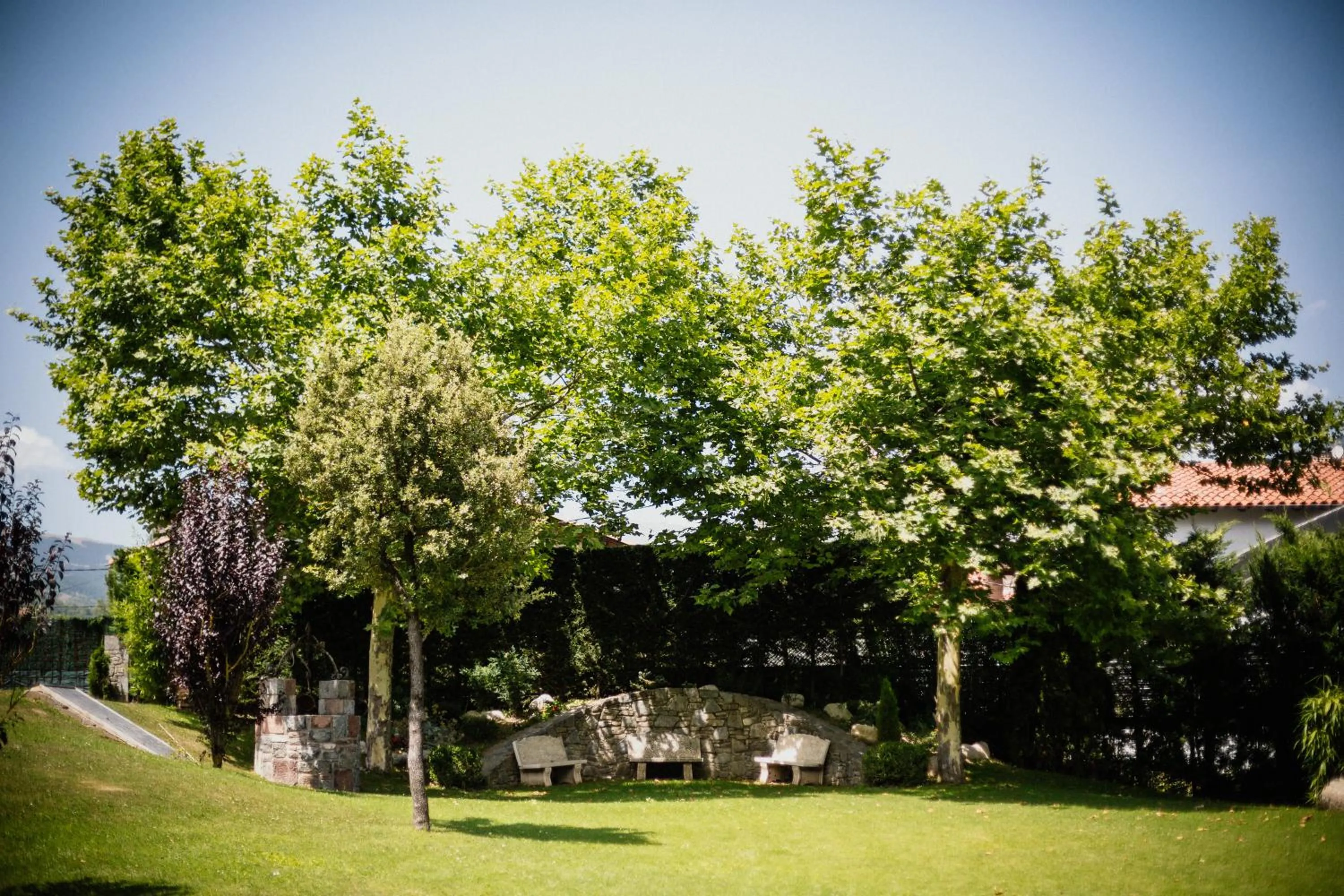 Garden in Hotel de Camprodón