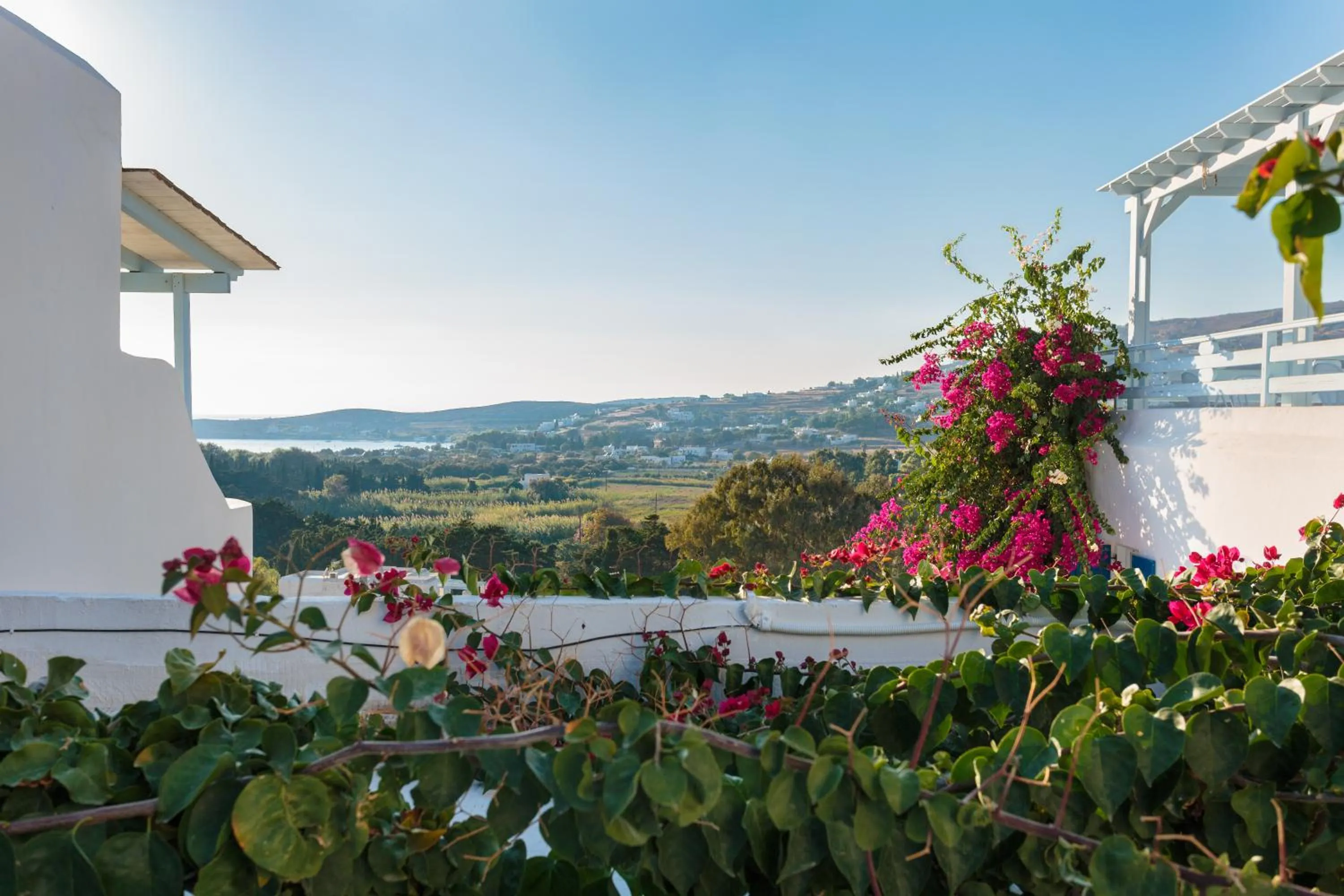 Garden in Pyrgaki Hotel