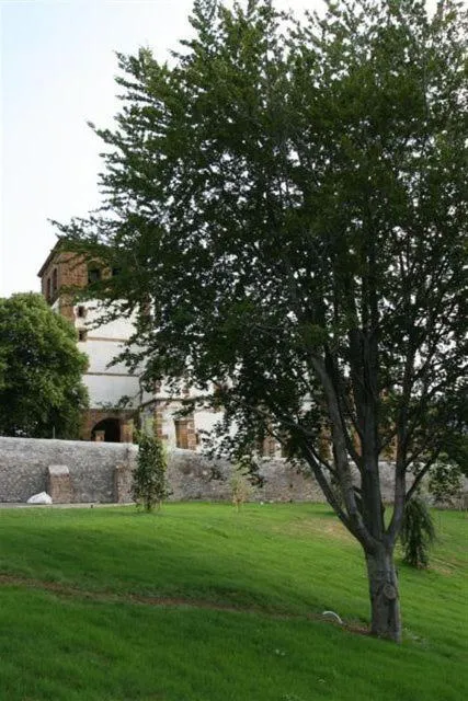 Neighbourhood in Hotel Palacio Muñatones