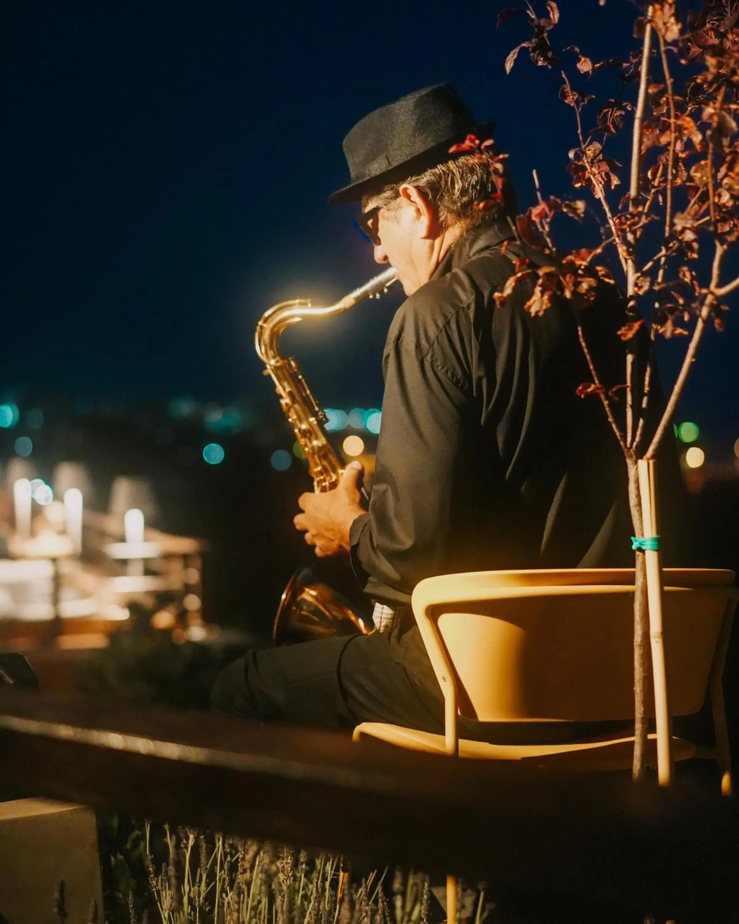 Restaurant/places to eat in Apollo Resort Art Hotel Restaurant/places to eat in Apollo Resort Art Hotel