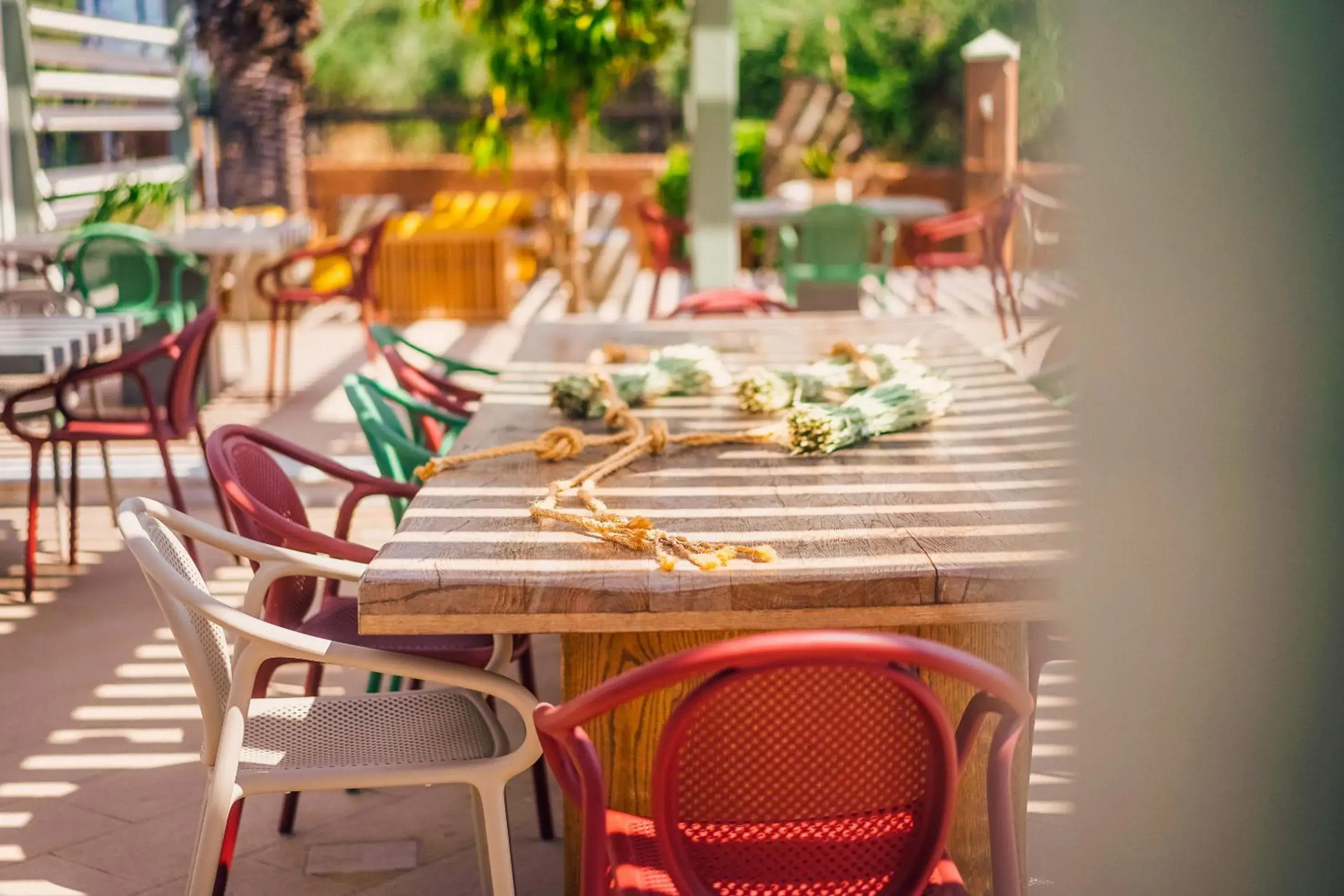 Restaurant/places to eat in Apollo Resort Art Hotel Restaurant/places to eat in Apollo Resort Art Hotel