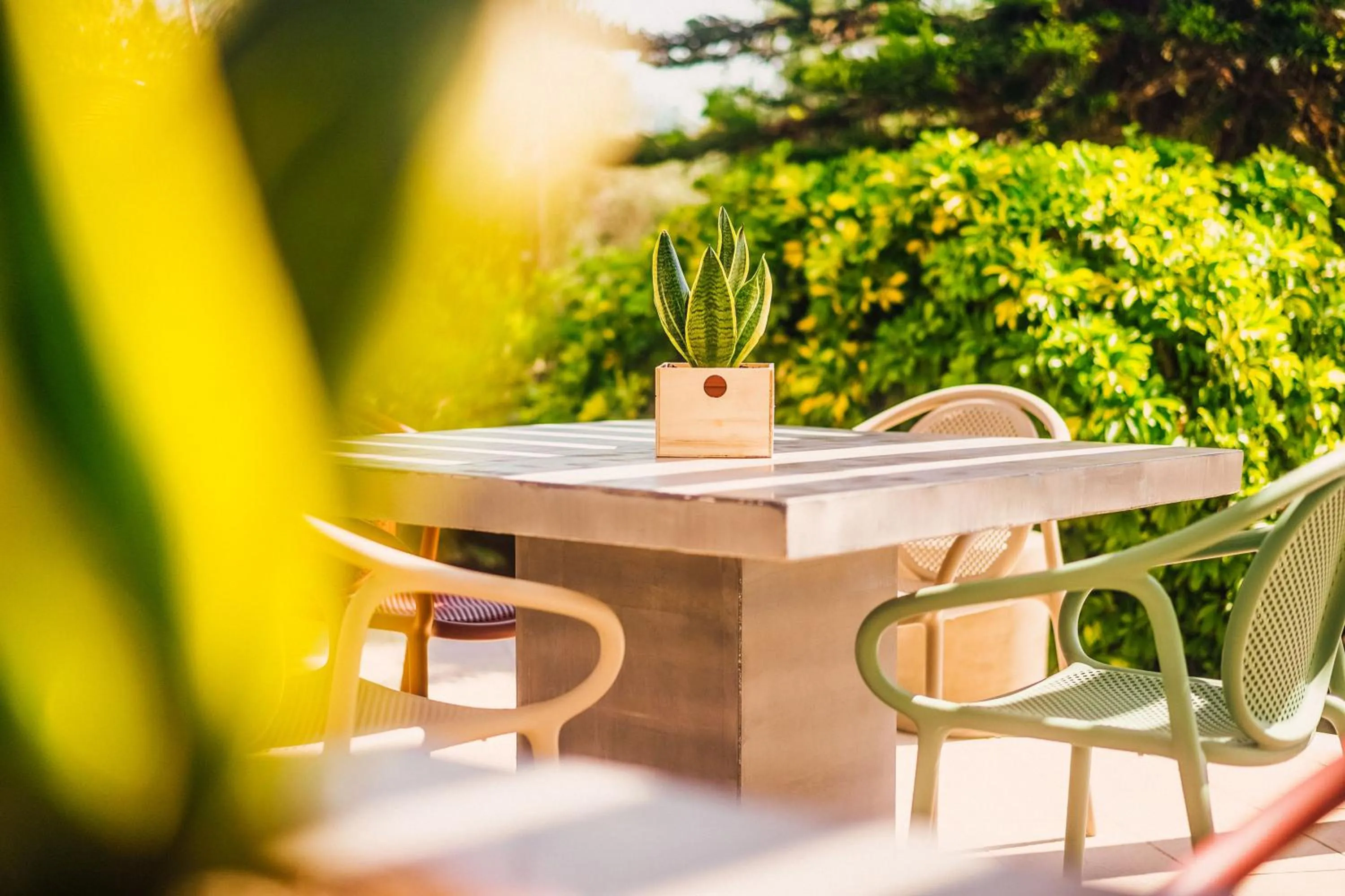 Patio in Apollo Resort Art Hotel