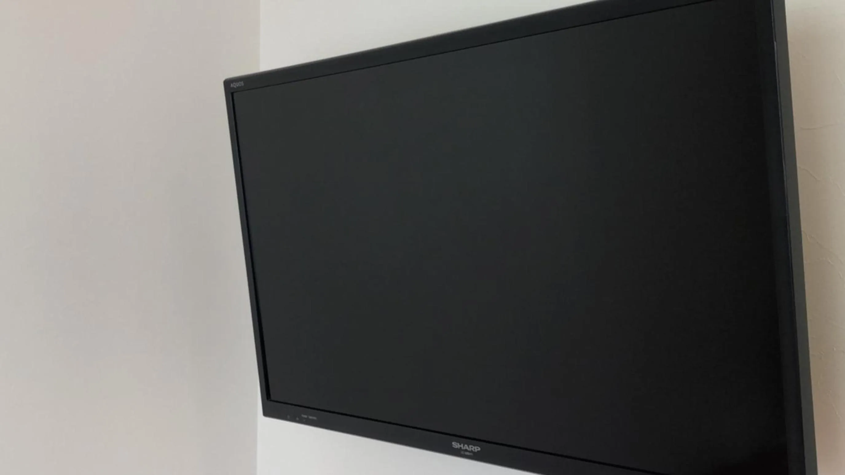 TV and multimedia in Nagano Daiichi Hotel