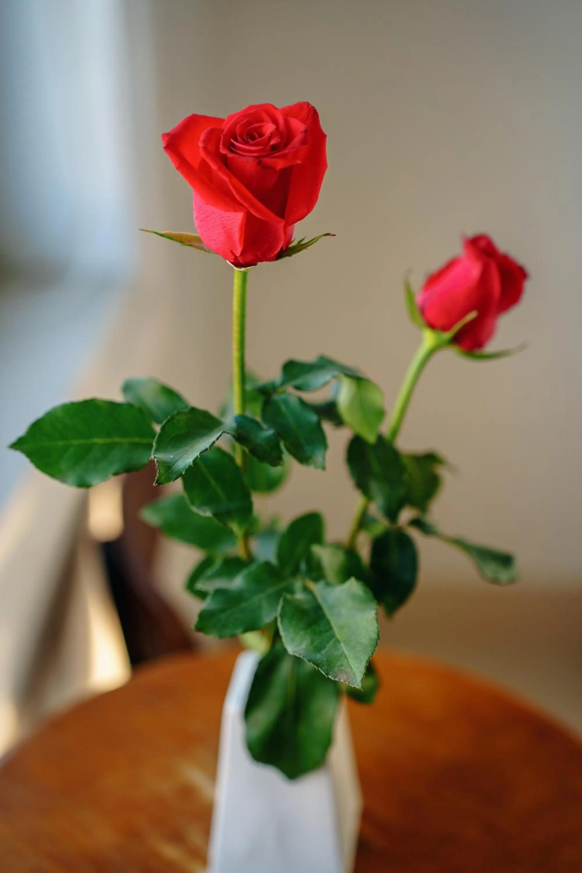 Decorative detail in HAI DAO HOI AN VILLA