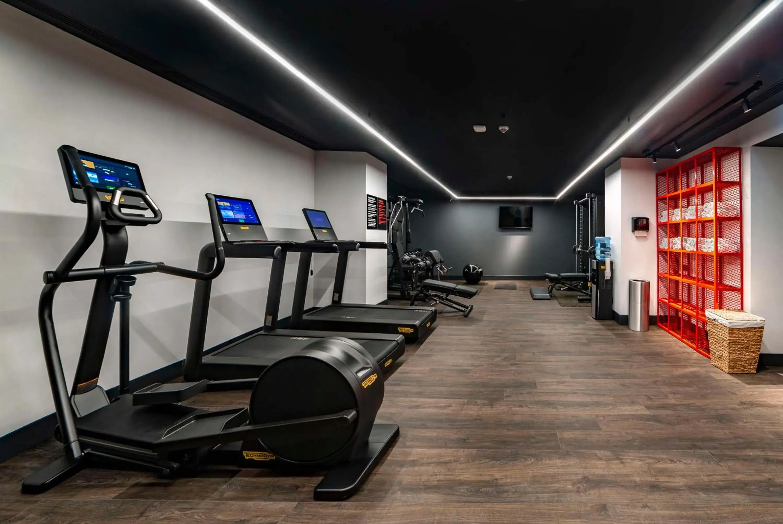 Fitness centre/facilities in Radisson RED Tbilisi Fitness centre/facilities in Radisson RED Tbilisi