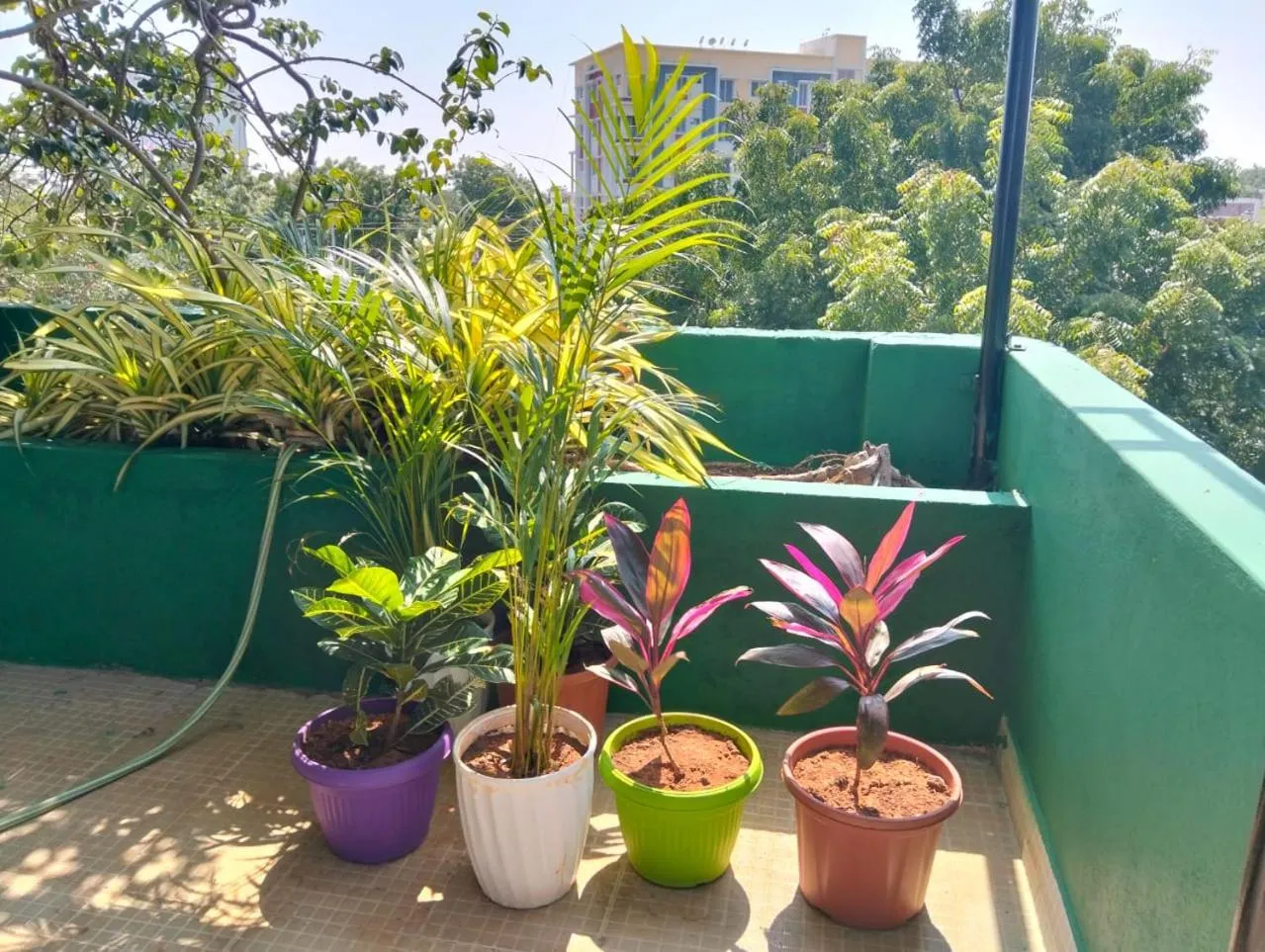 Garden view in ASSHAPPYSTAYINN HOTEL