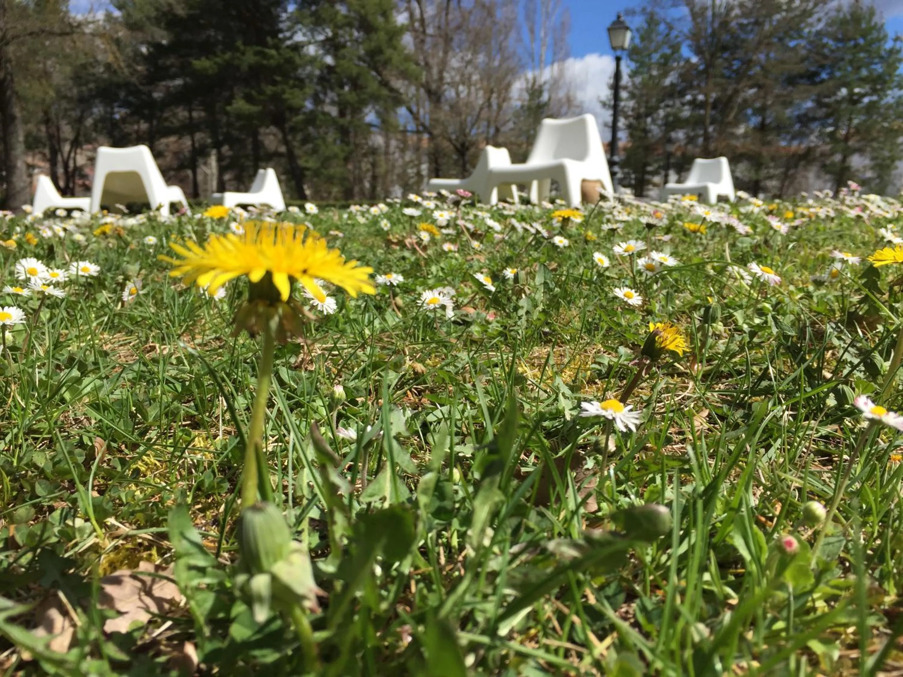 Decorative detail in Hotel La Pardina