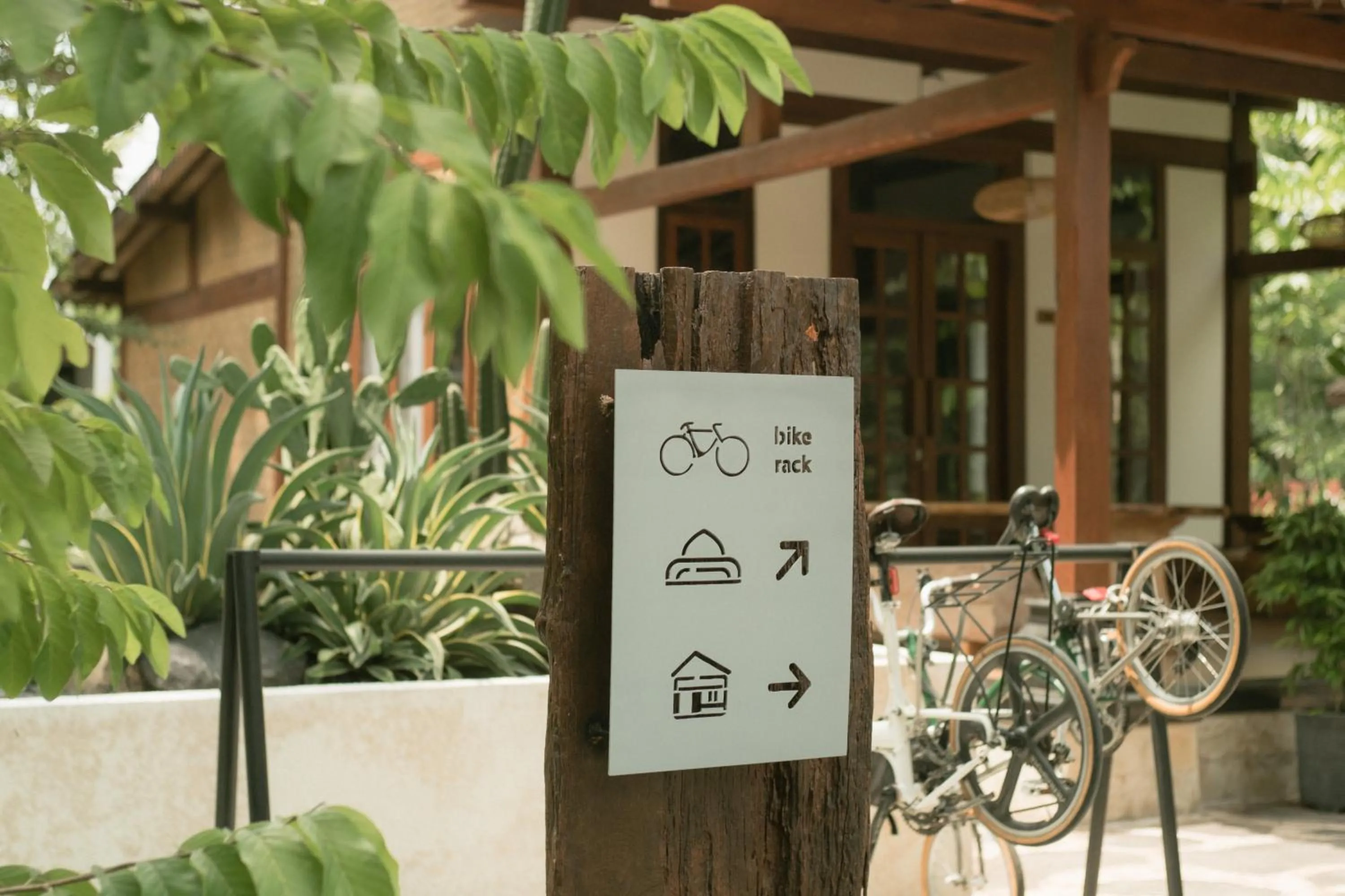 Cycling in LAYANA FARMSTAY