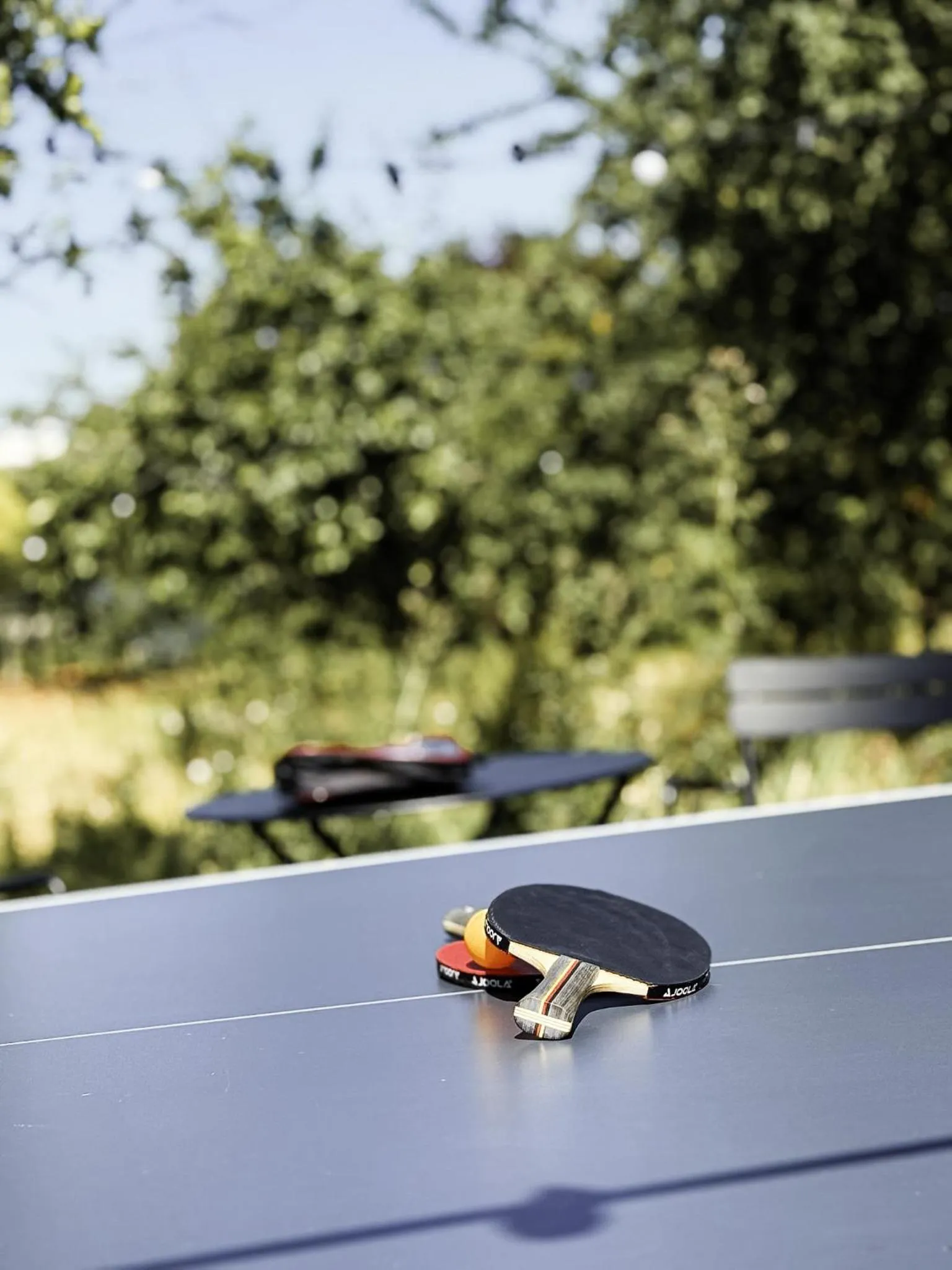 Table tennis in Domaine de la Reine Margot Paris-Issy - MGallery Collection