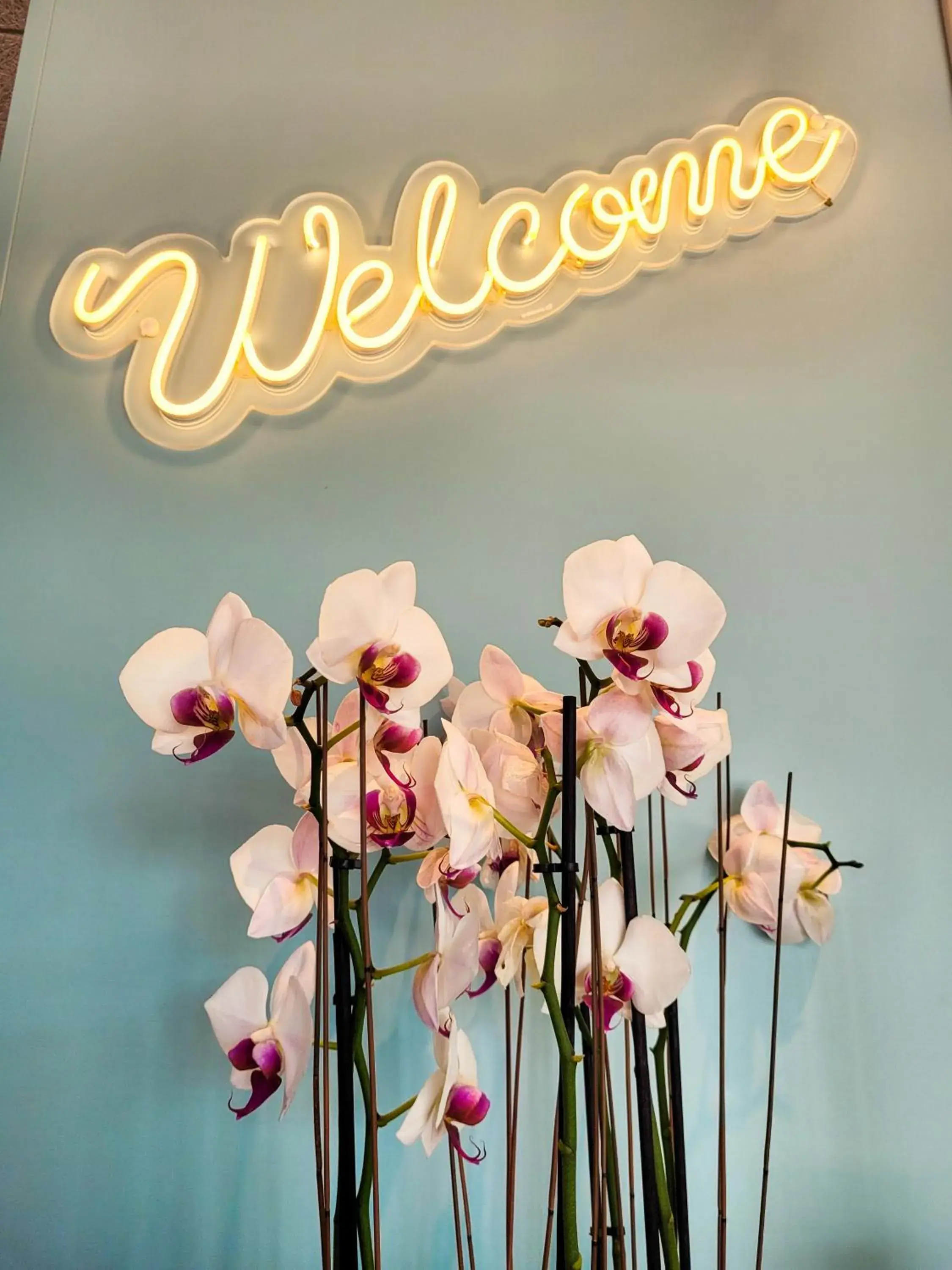 Lobby or reception in greet hotel Castets Coeur des Landes Lobby or reception in greet hotel Castets Coeur des Landes