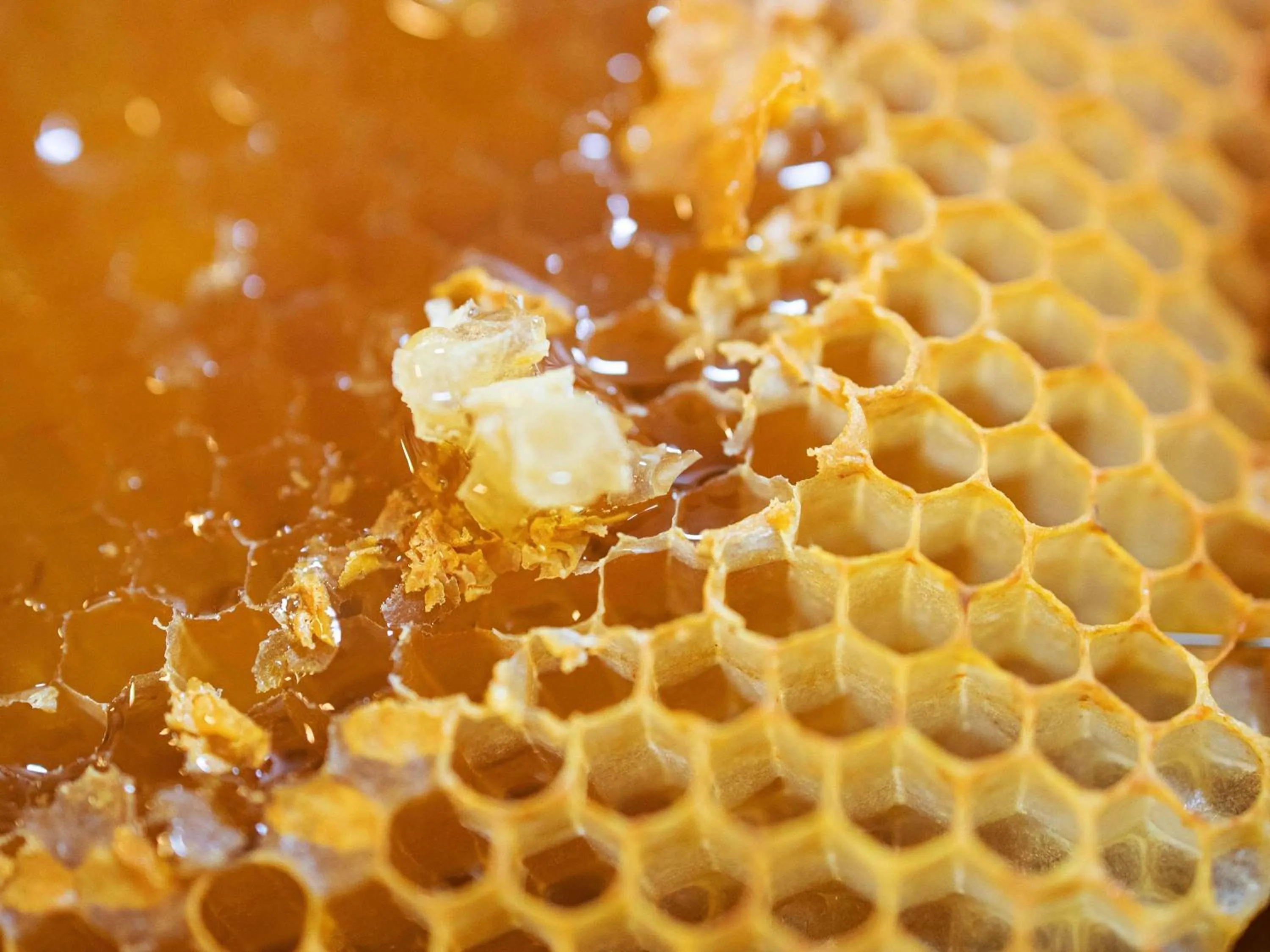 Breakfast in greet hotel Castets Coeur des Landes