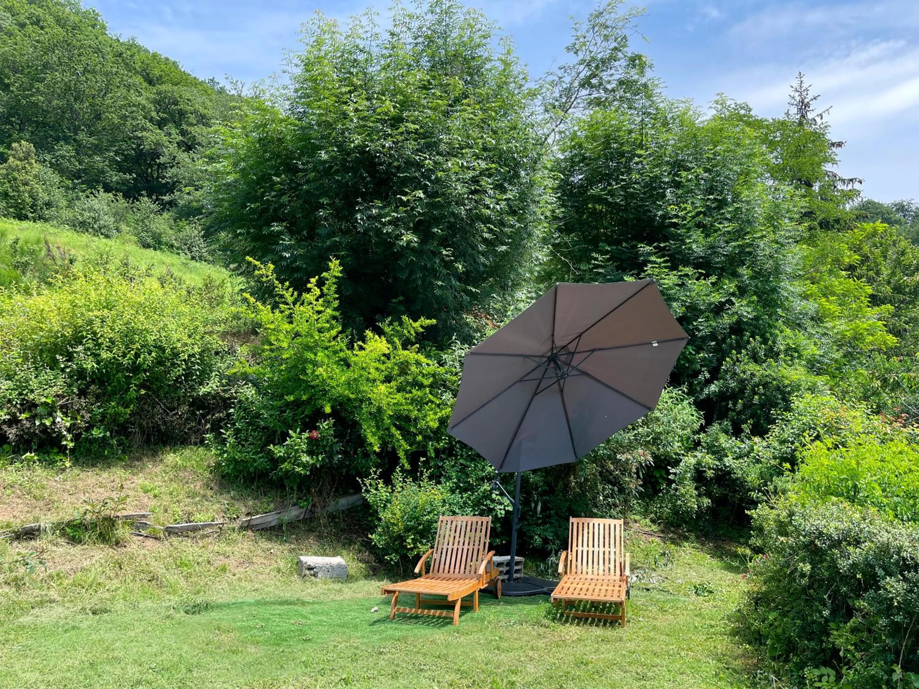 Garden in Hotel Peruskenea