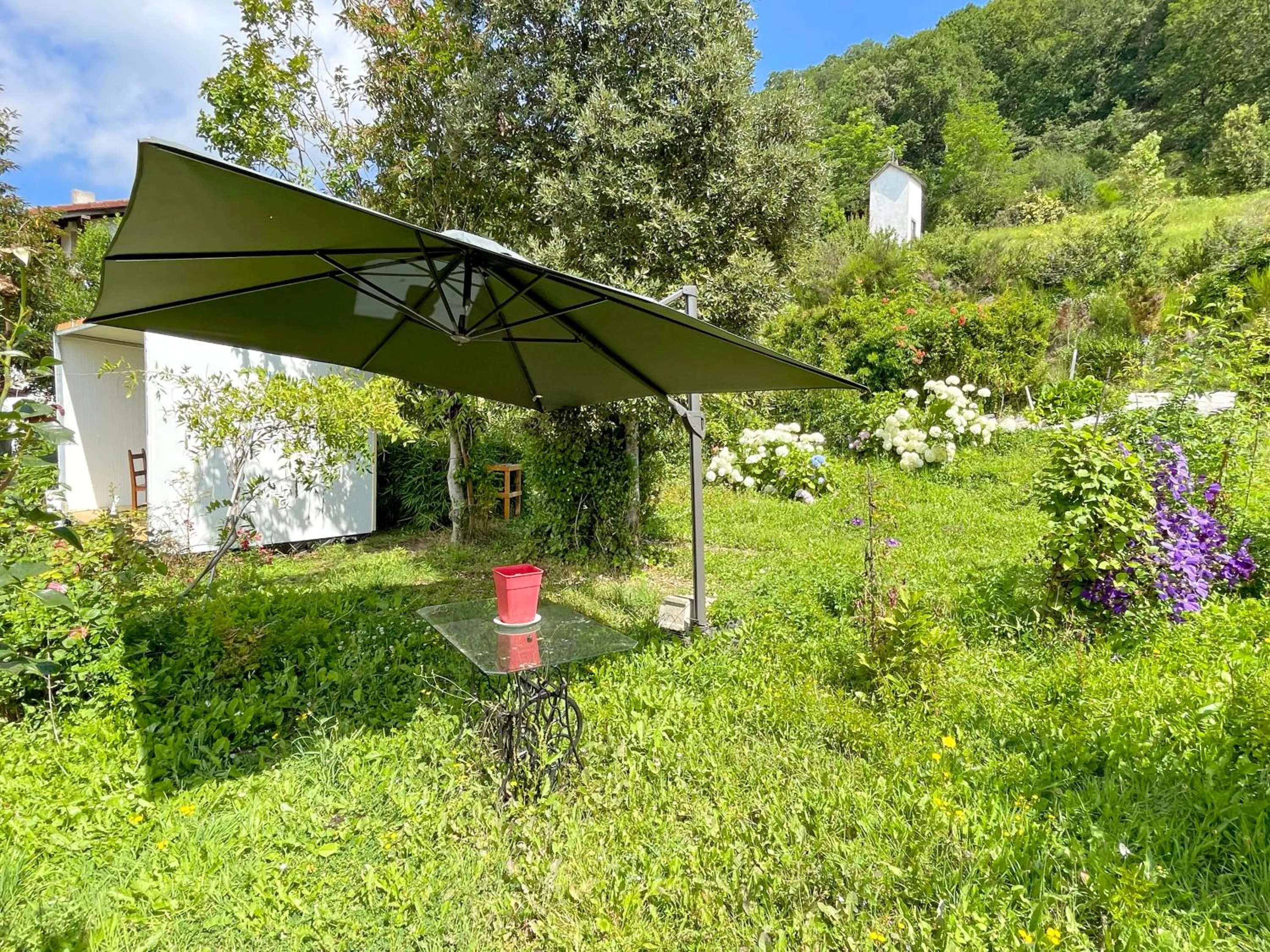 Natural landscape in Hotel Peruskenea