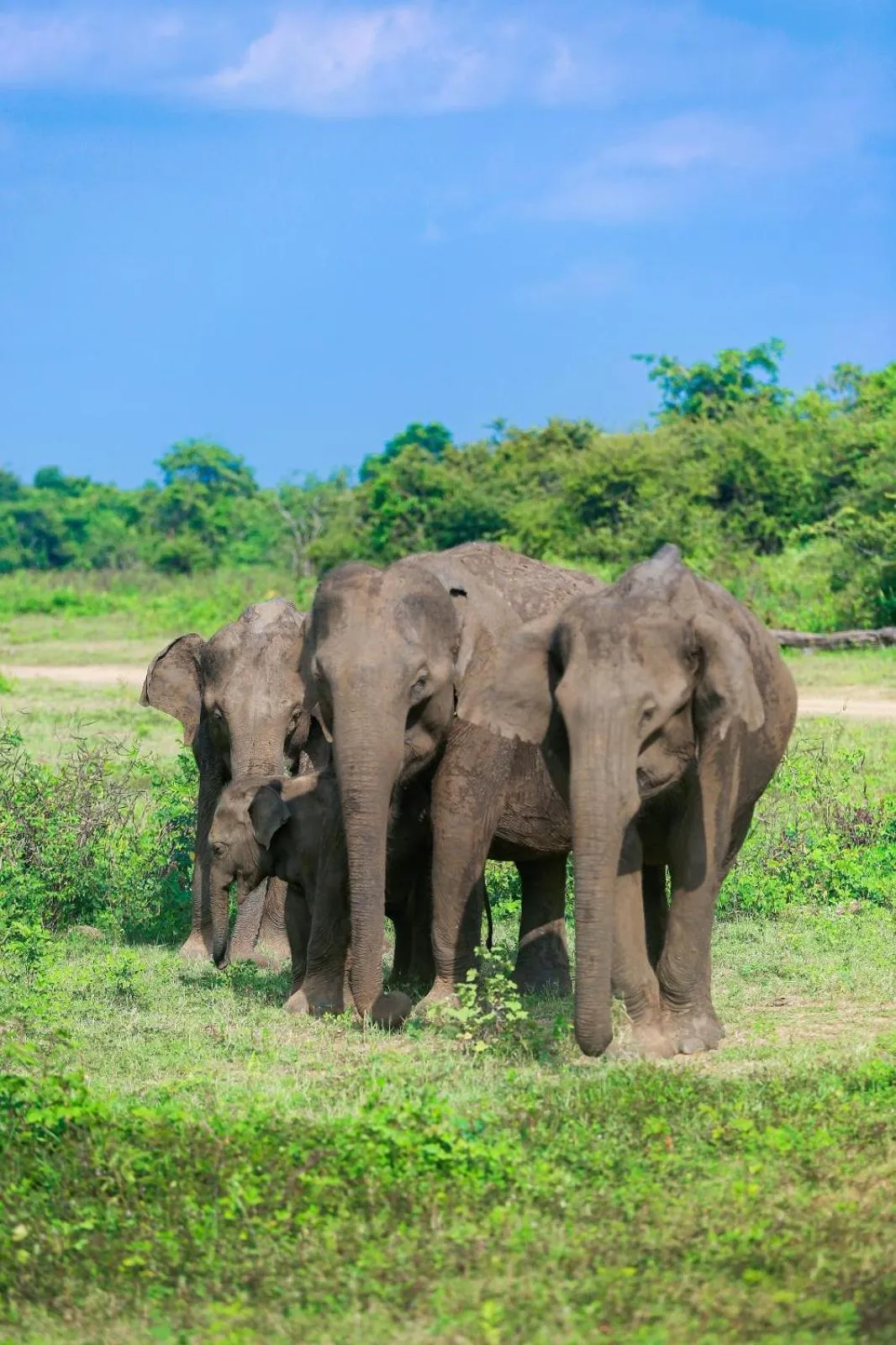 Day in Vintara Eco Resort