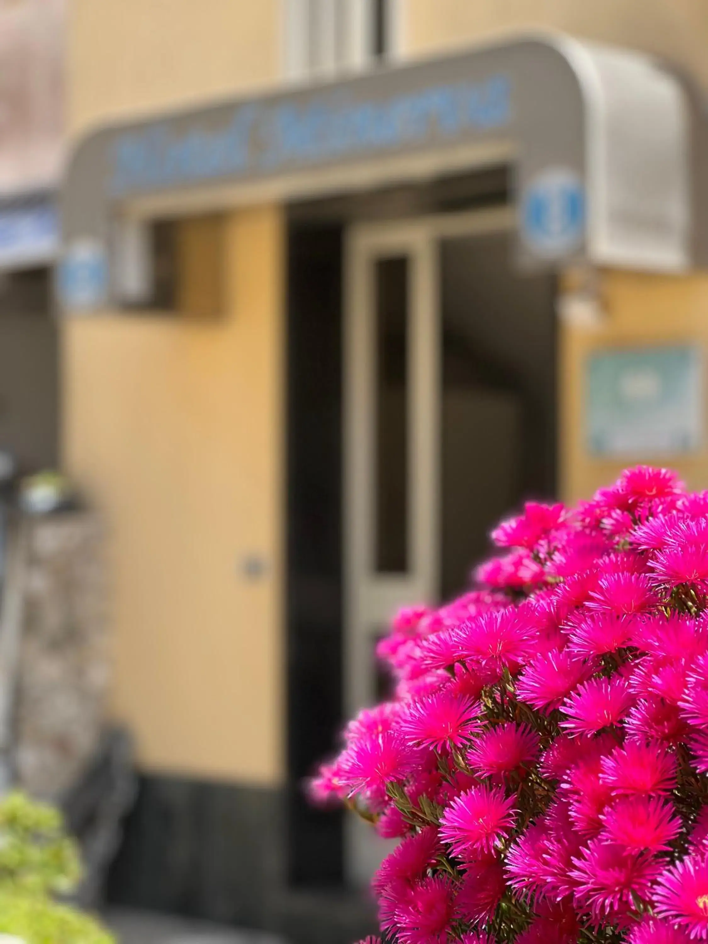 Property building in Hotel Minerva Property building in Hotel Minerva