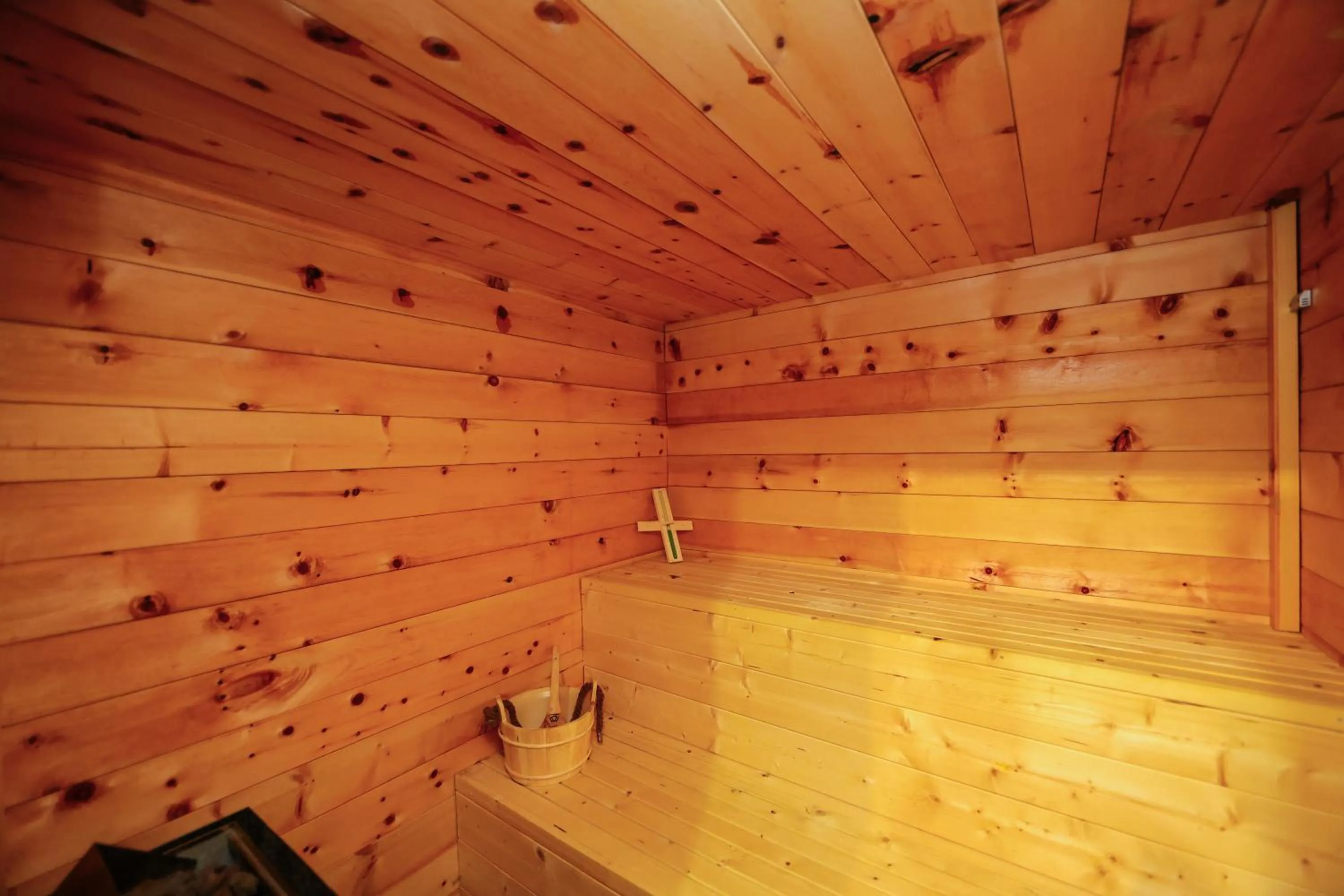 Sauna in Hotel Regina del Bosco