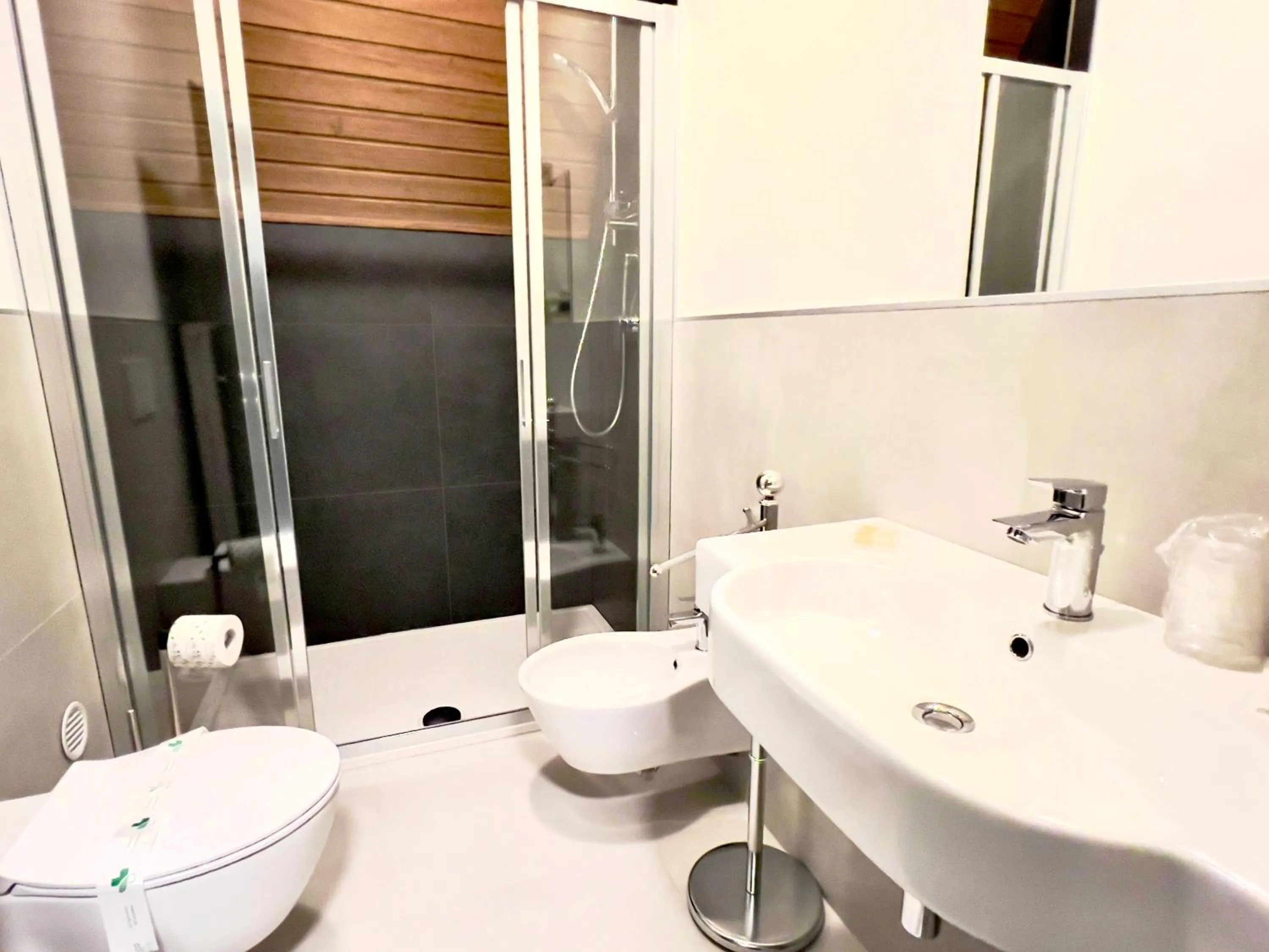 Shower in Hotel Regina del Bosco