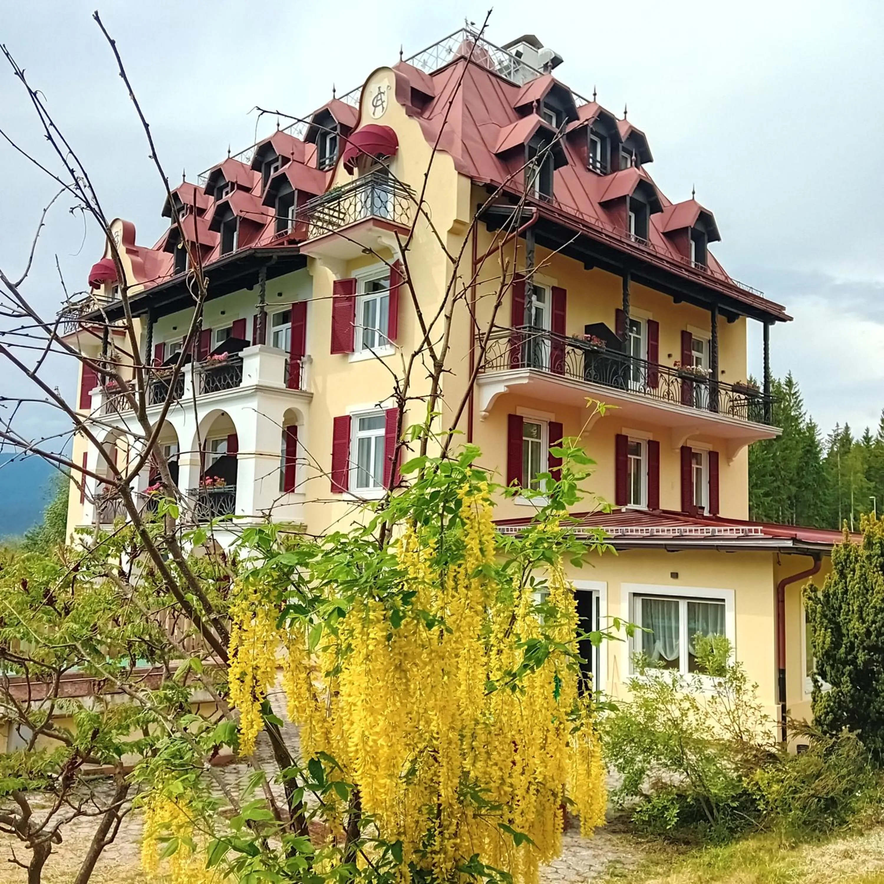 Garden in Hotel Regina del Bosco