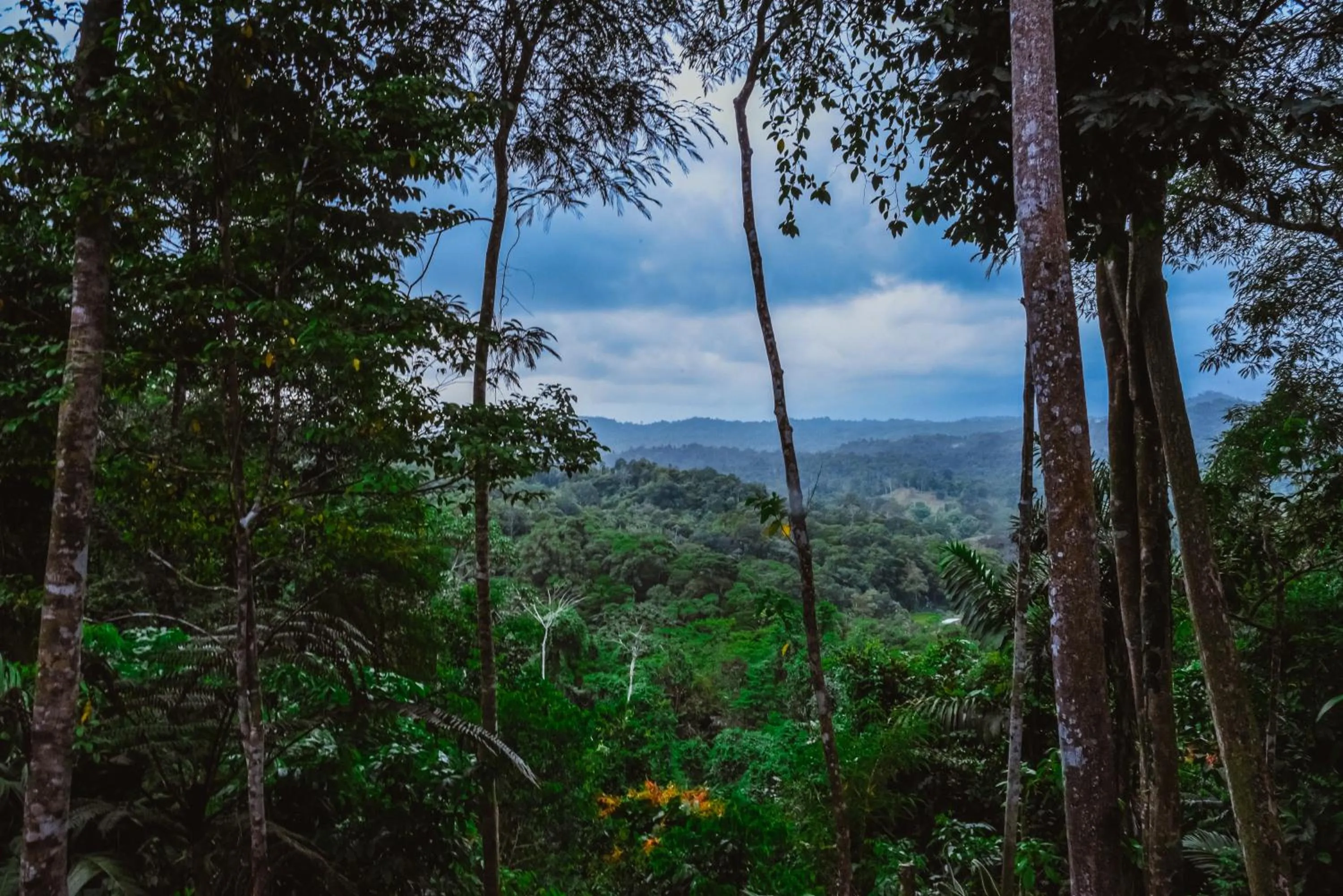 Nearby landmark in Selva Madre Eco-Sanctuary