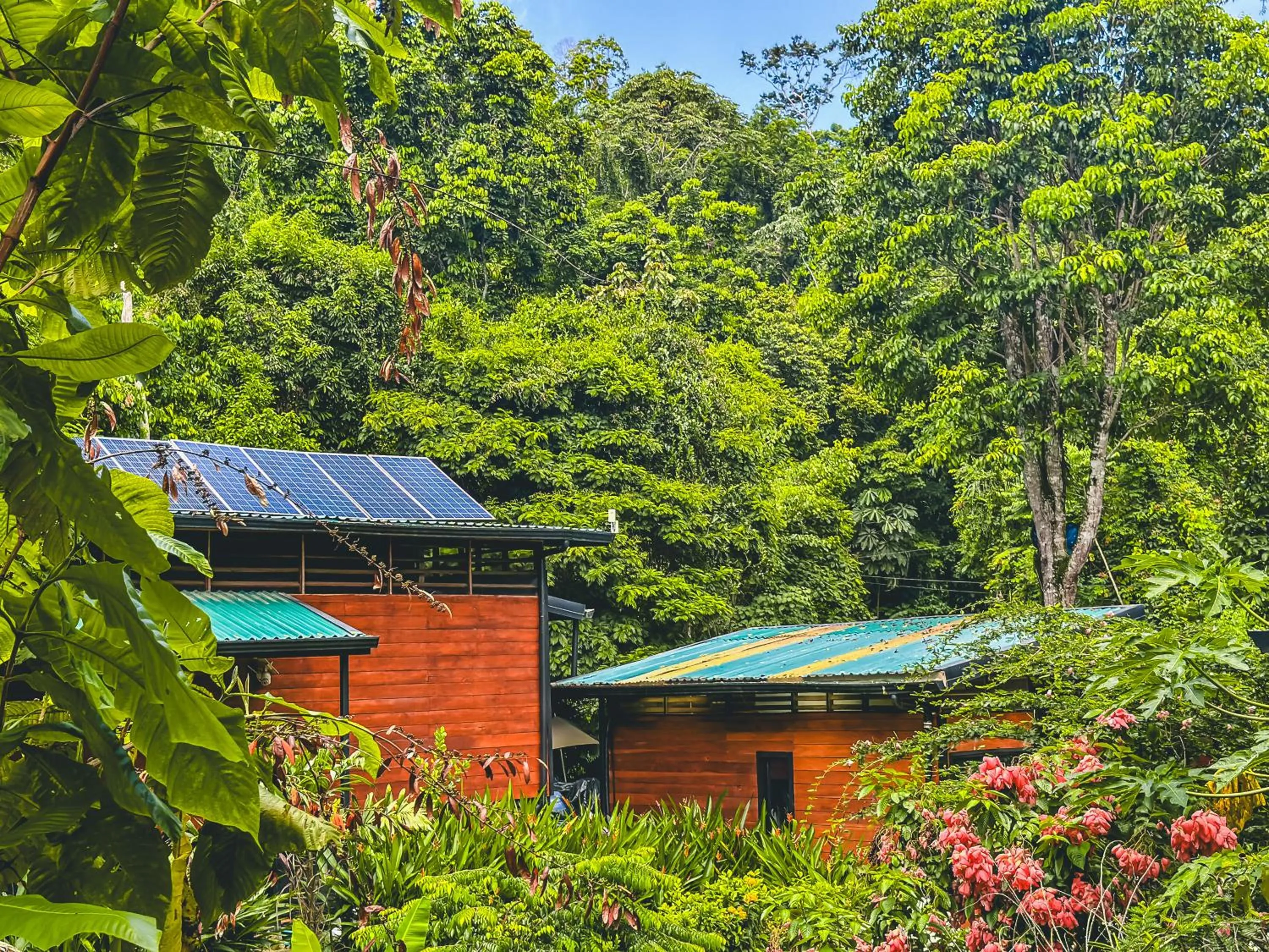 View (from property/room) in Selva Madre Eco-Sanctuary