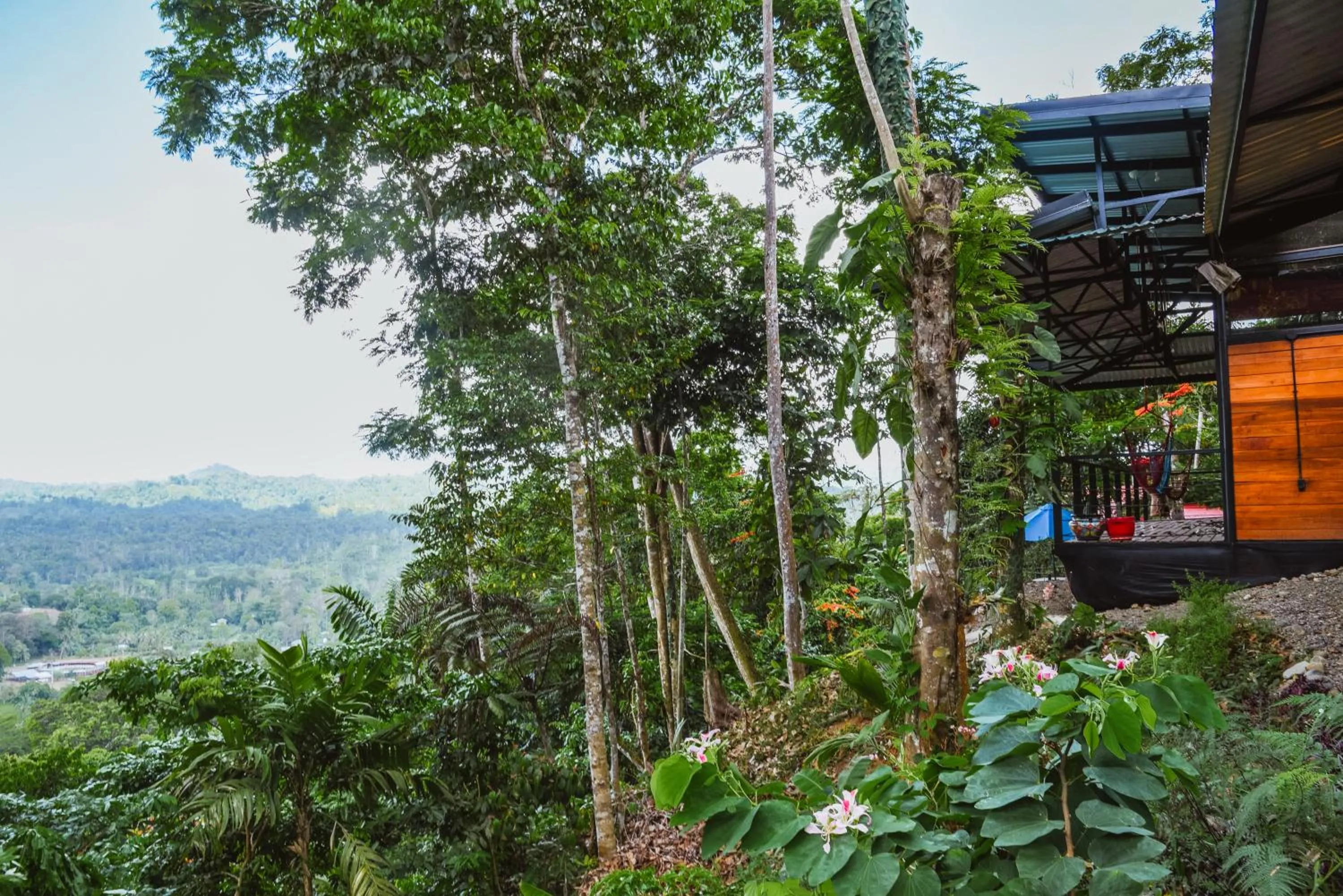 Natural landscape in Selva Madre Eco-Sanctuary