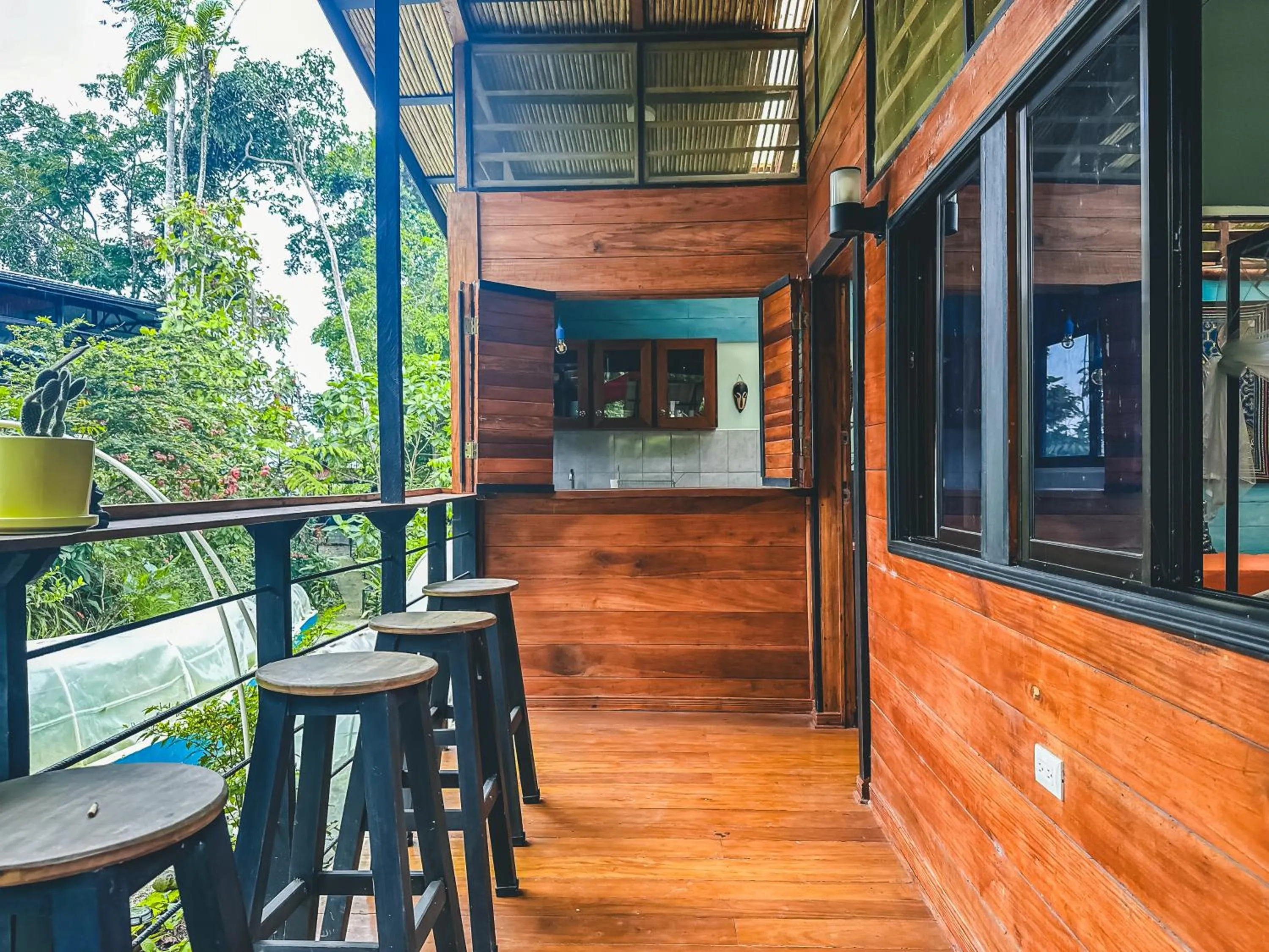 Patio in Selva Madre Eco-Sanctuary