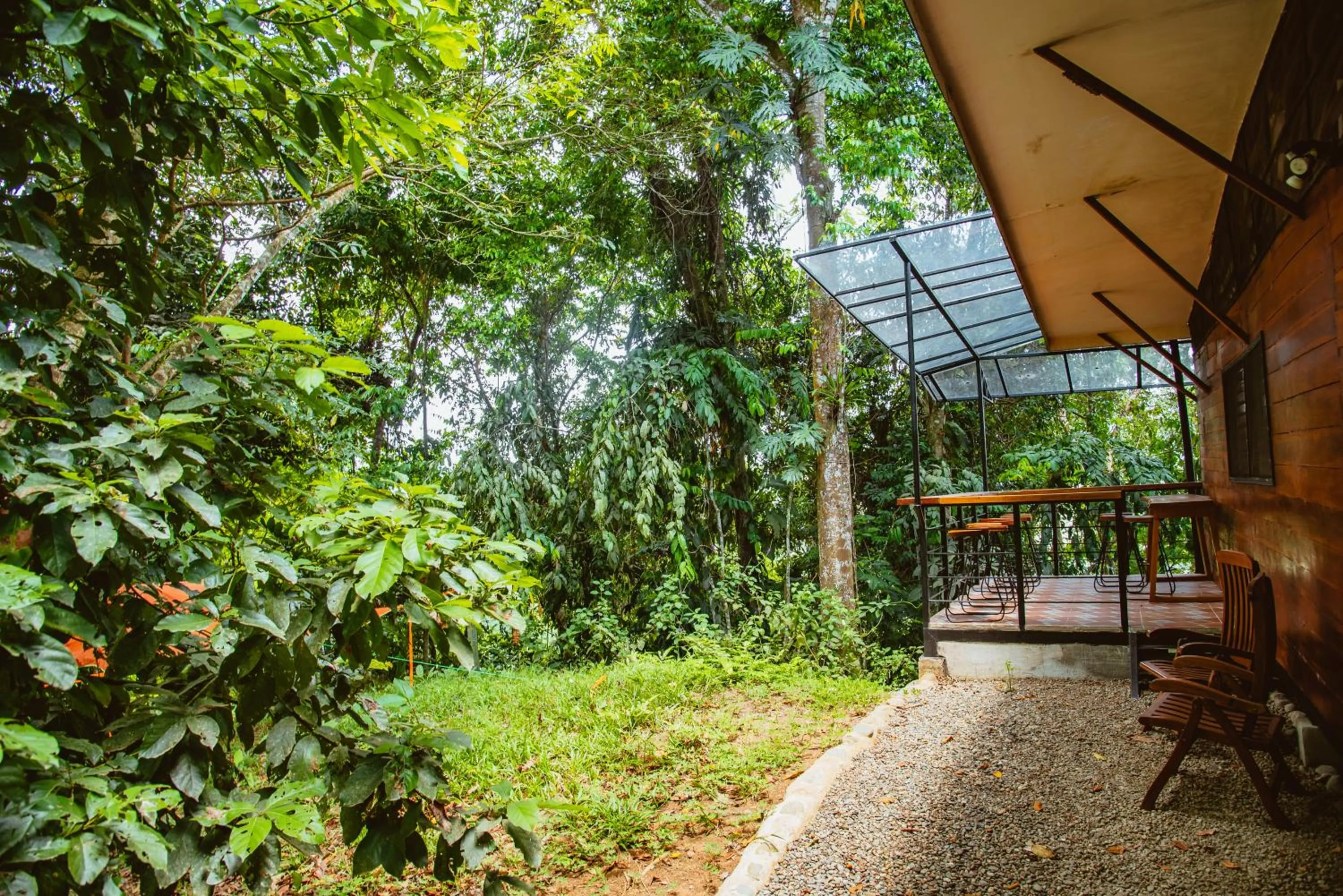 Patio in Selva Madre Eco-Sanctuary