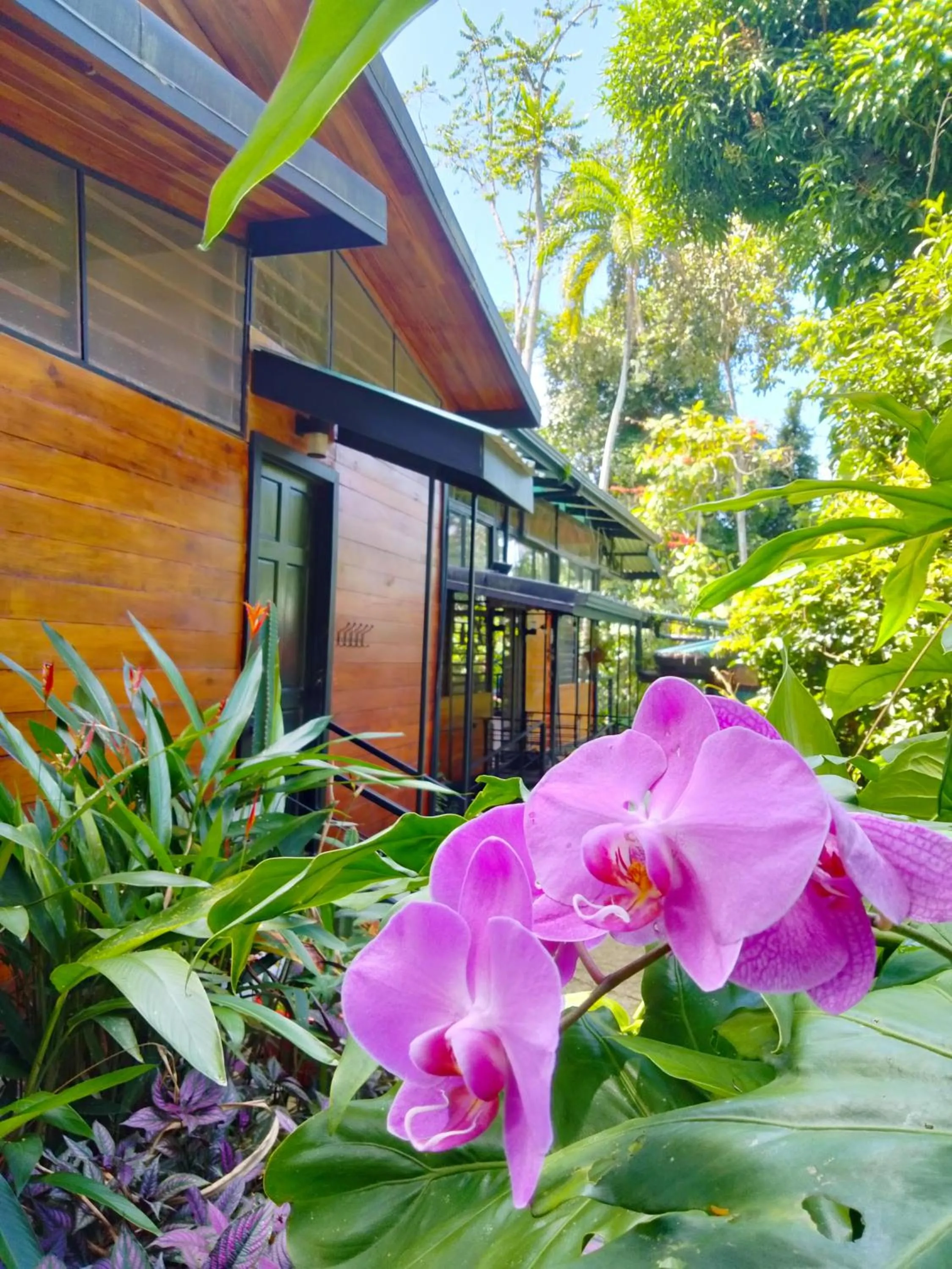 Property building in Selva Madre Eco-Sanctuary