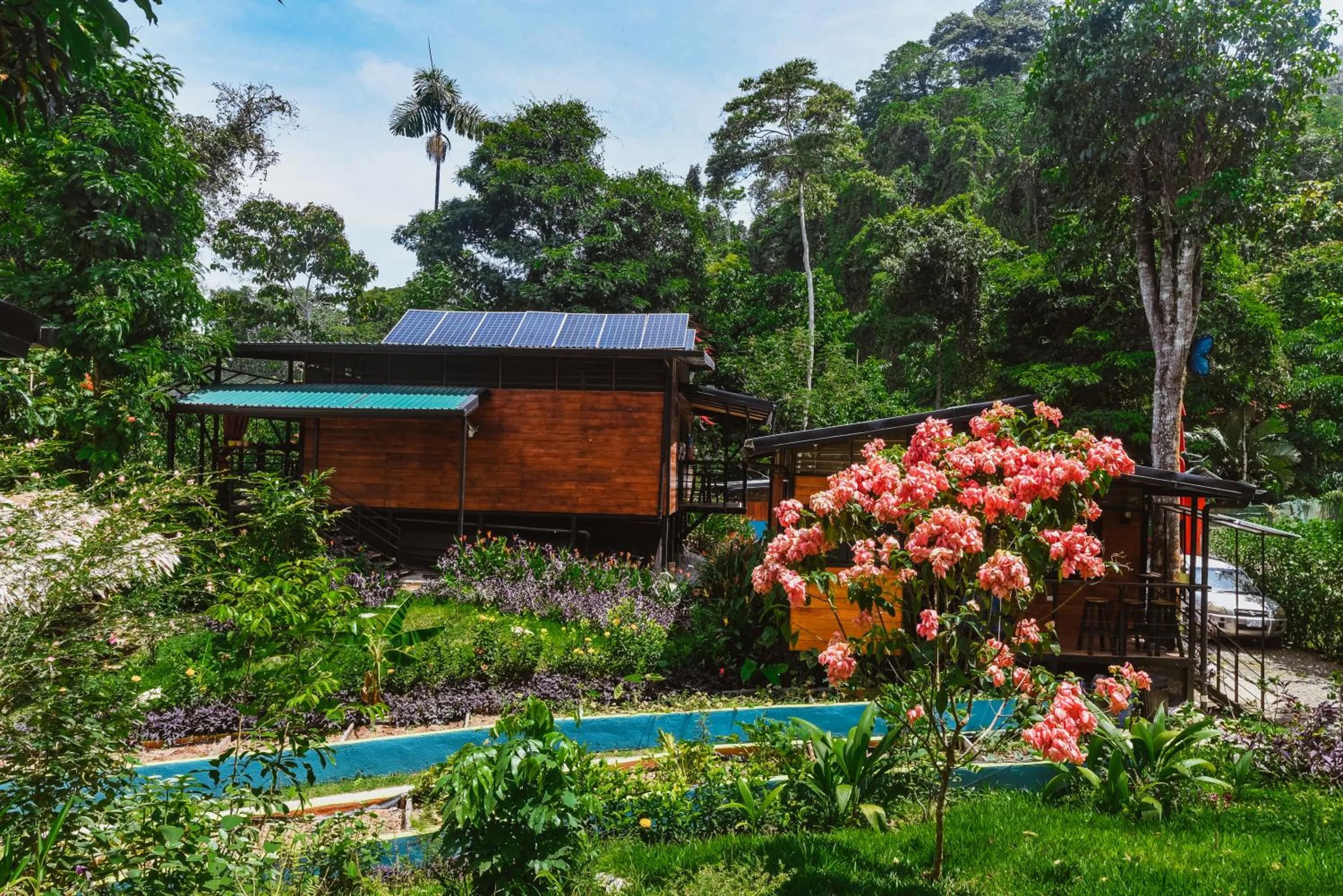 Garden in Selva Madre Eco-Sanctuary