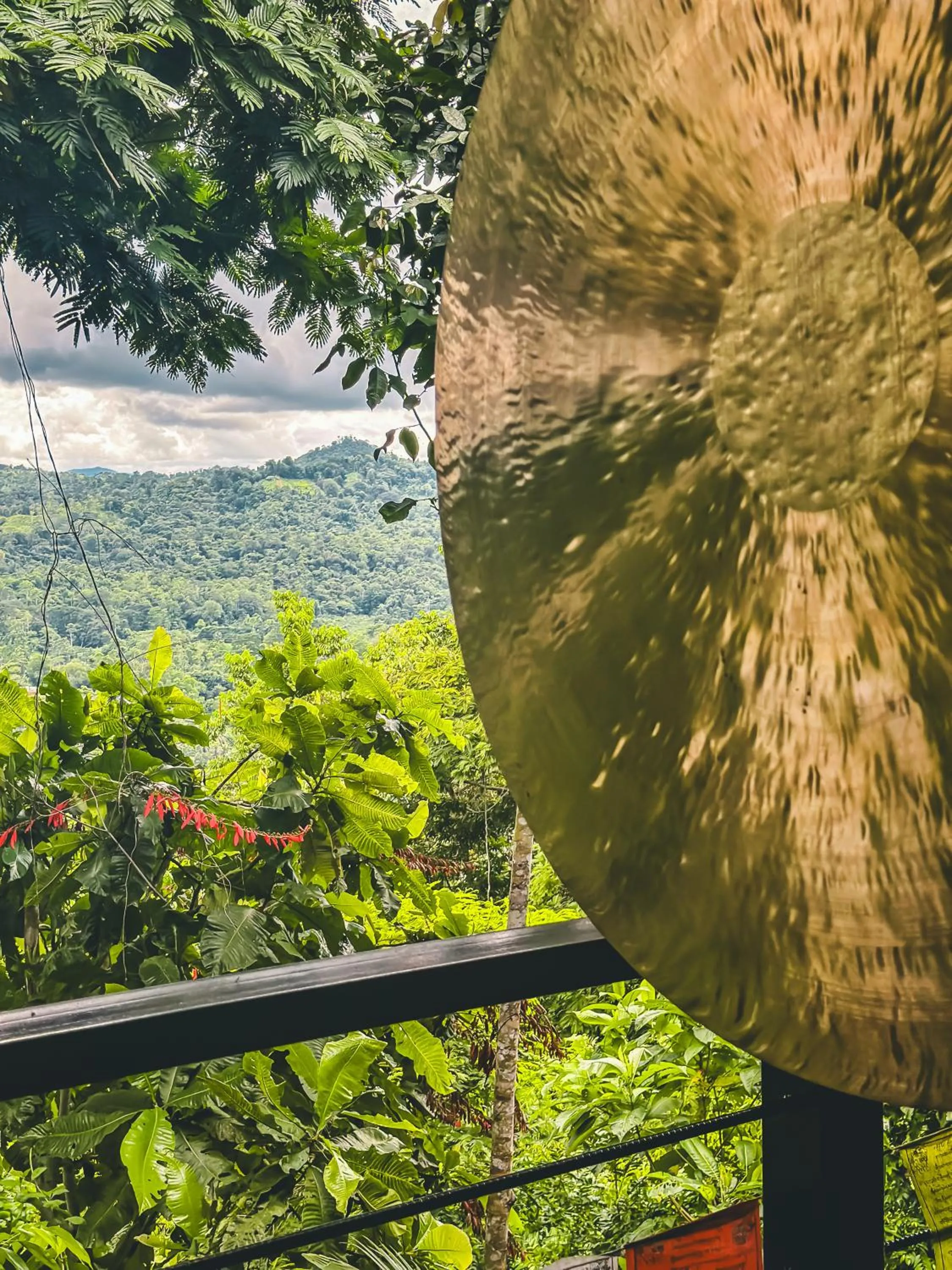 Patio in Selva Madre Eco-Sanctuary