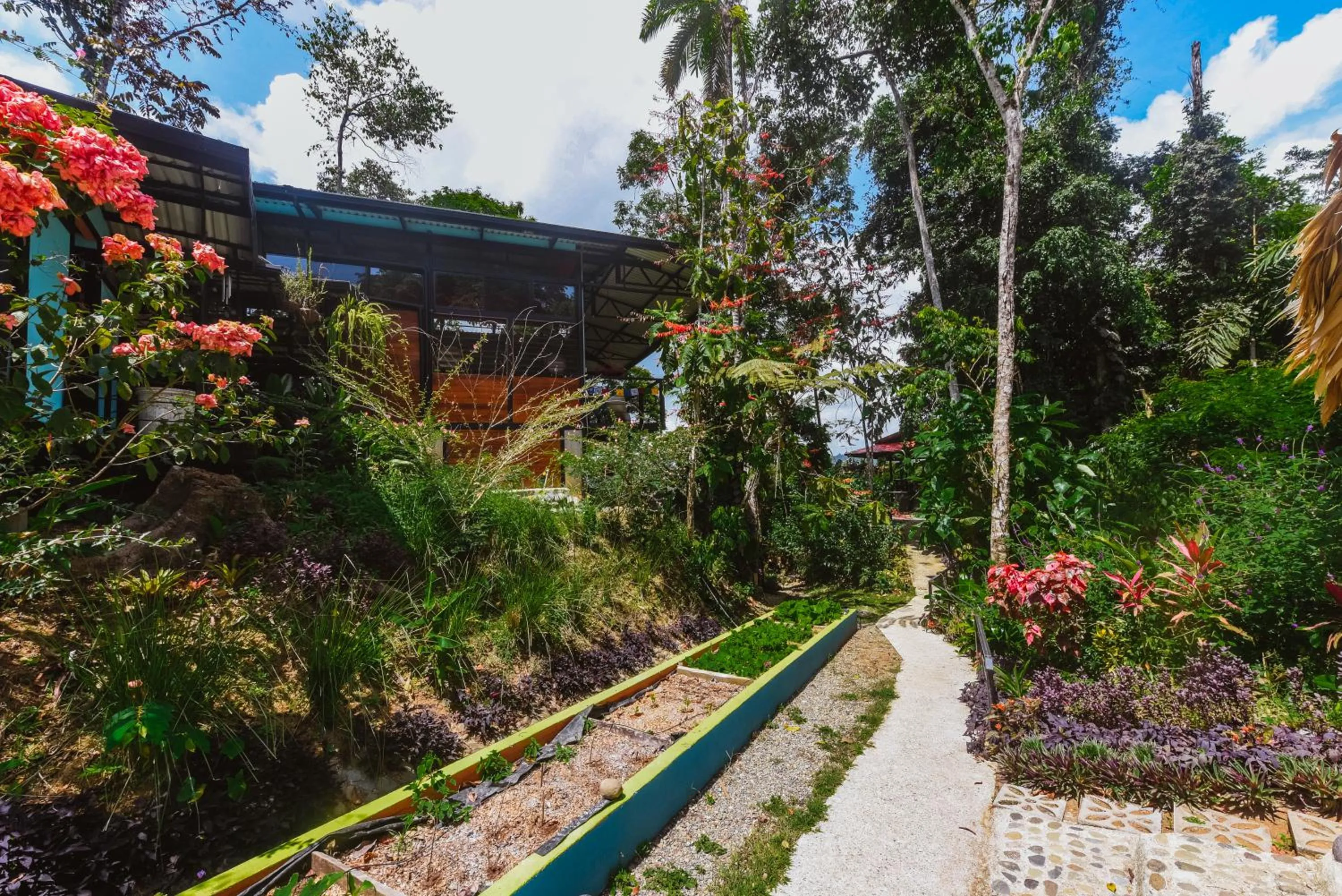 Garden in Selva Madre Eco-Sanctuary