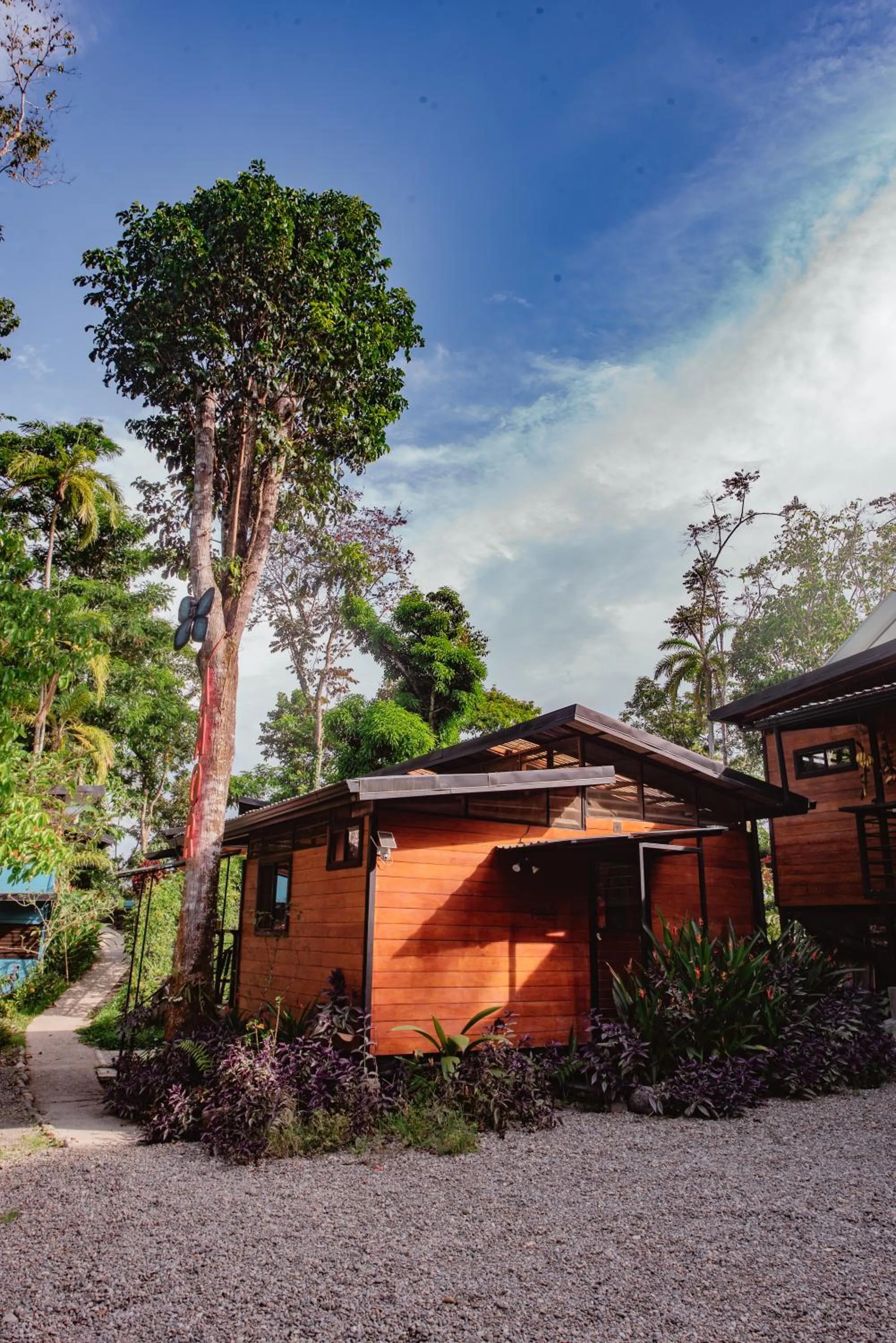 Property building in Selva Madre Eco-Sanctuary