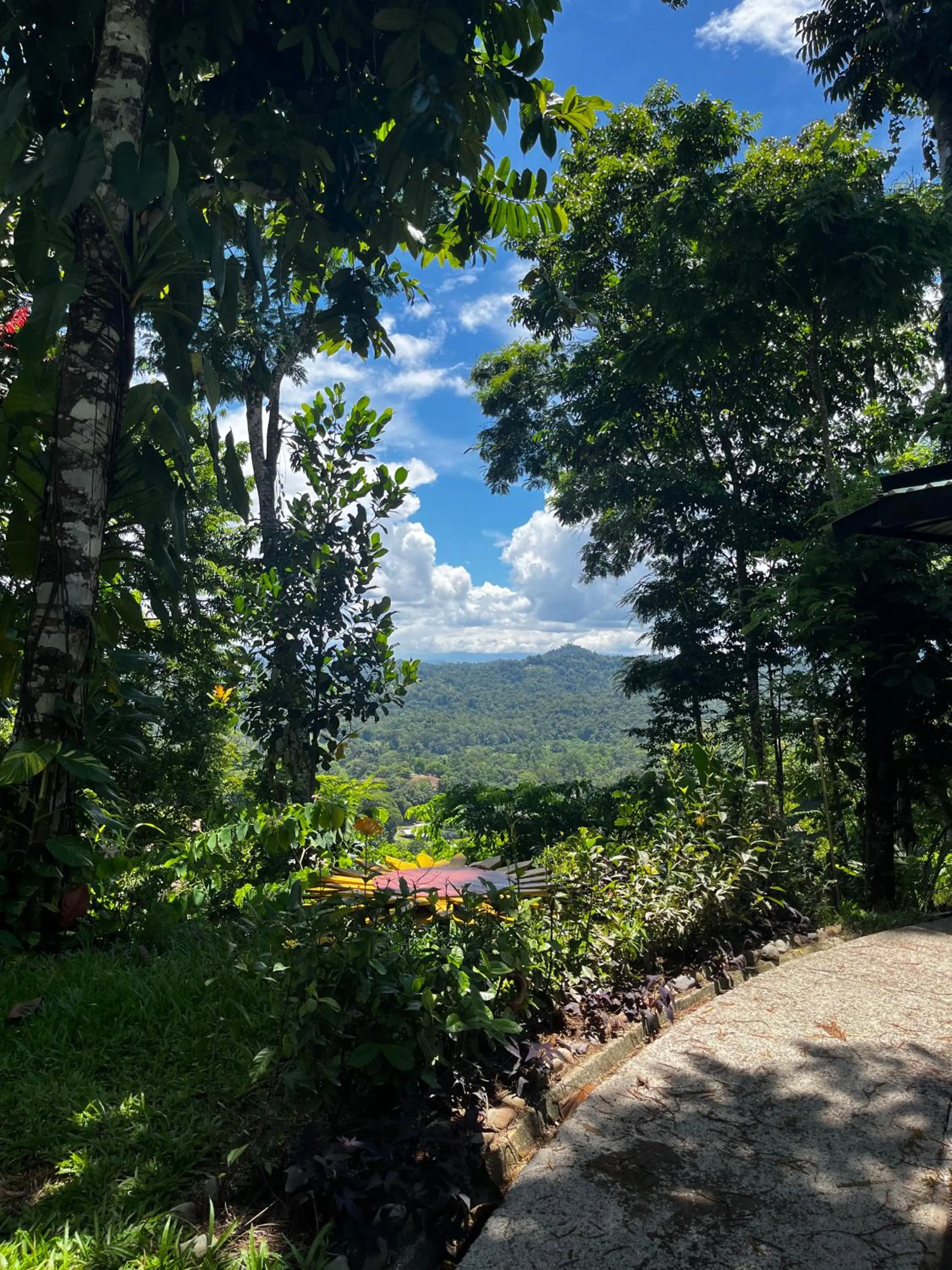 Day in Selva Madre Eco-Sanctuary